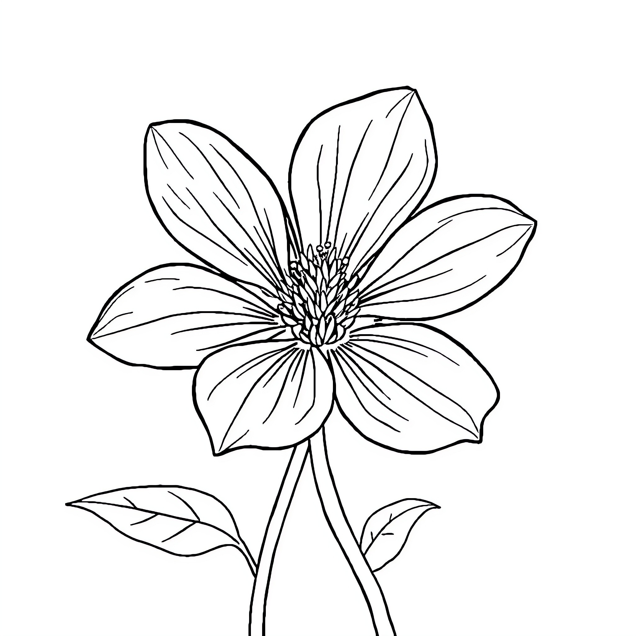 Flower with intricate petals and center Coloring Page (free black-and-white line drawing printable PDF for all, from beginners to advanced learners, including children, teens, adults, and seniors)