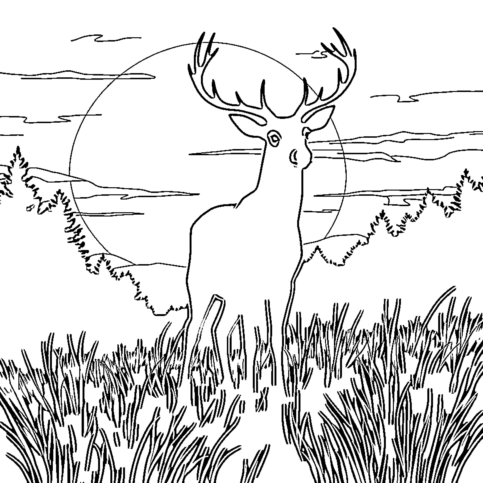 Deer standing alert in a grassy meadow Coloring Page (free black-and-white line drawing printable PDF for all, from beginners to advanced learners, including children, teens, adults, and seniors)