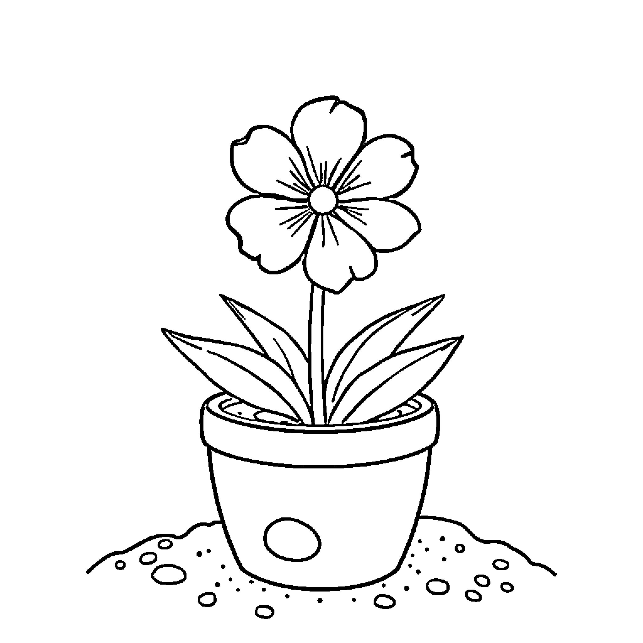 Flower Blossoming in Potted Plant Coloring Page (free black-and-white line drawing printable PDF for all, from beginners to advanced learners, including children, teens, adults, and seniors)
