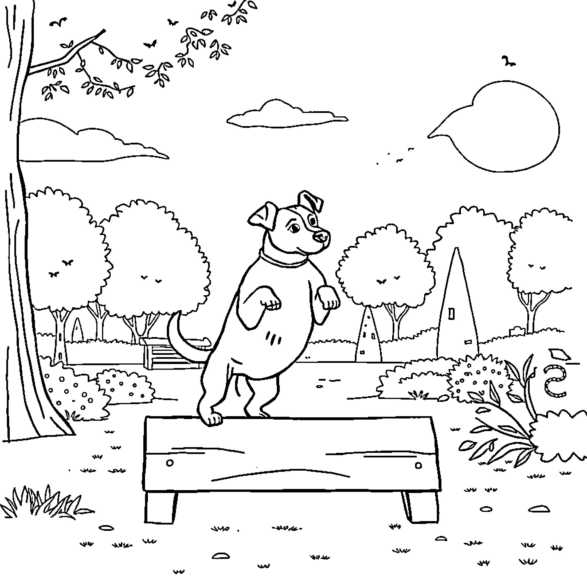 Jack Russell dog enjoying the outdoors on a bench Coloring Page (free black-and-white line drawing printable PDF for all, from beginners to advanced learners, including children, teens, adults, and seniors)