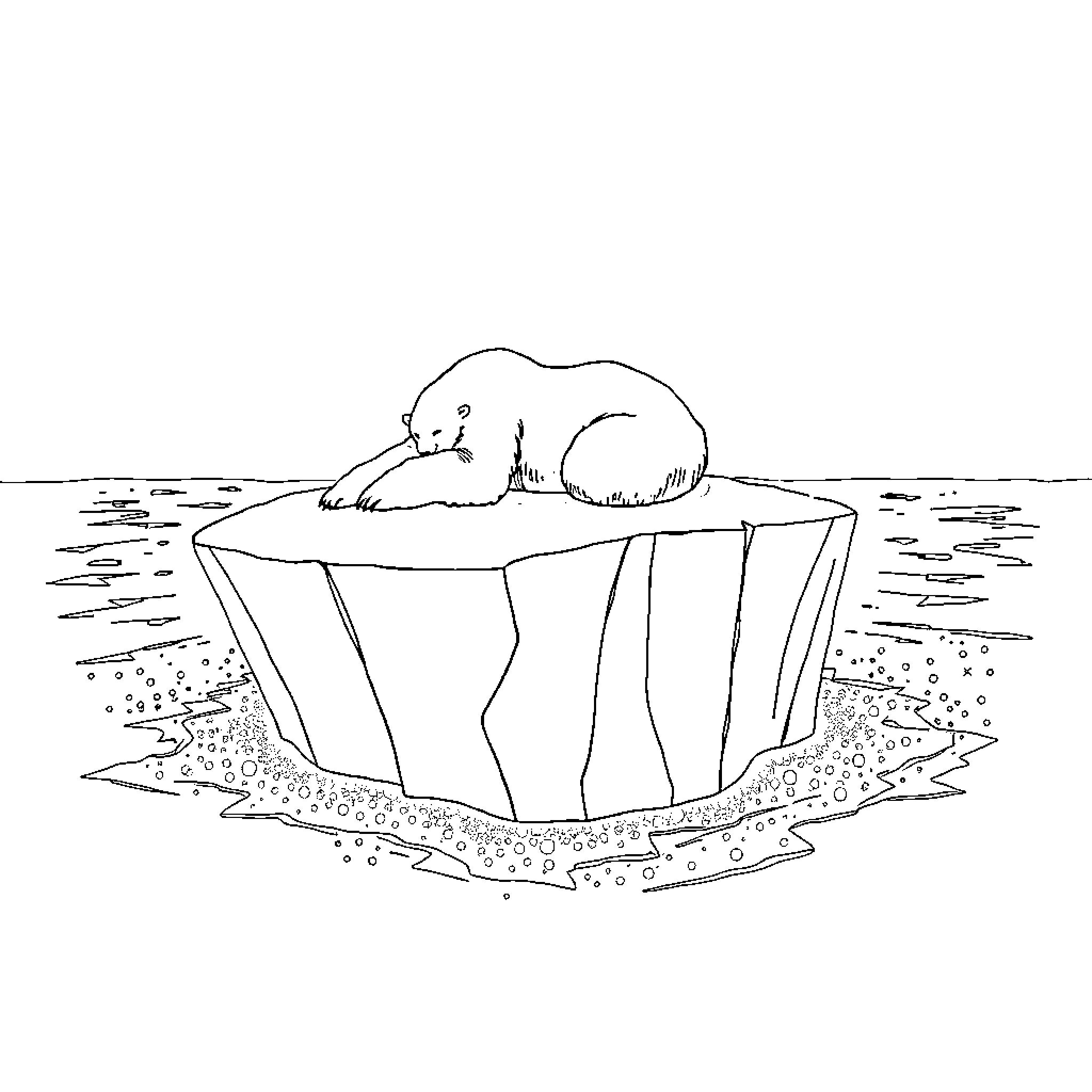 Polar Bear Resting on Floating Ice Coloring Page (free black-and-white line drawing printable PDF for all, from beginners to advanced learners, including children, teens, adults, and seniors)
