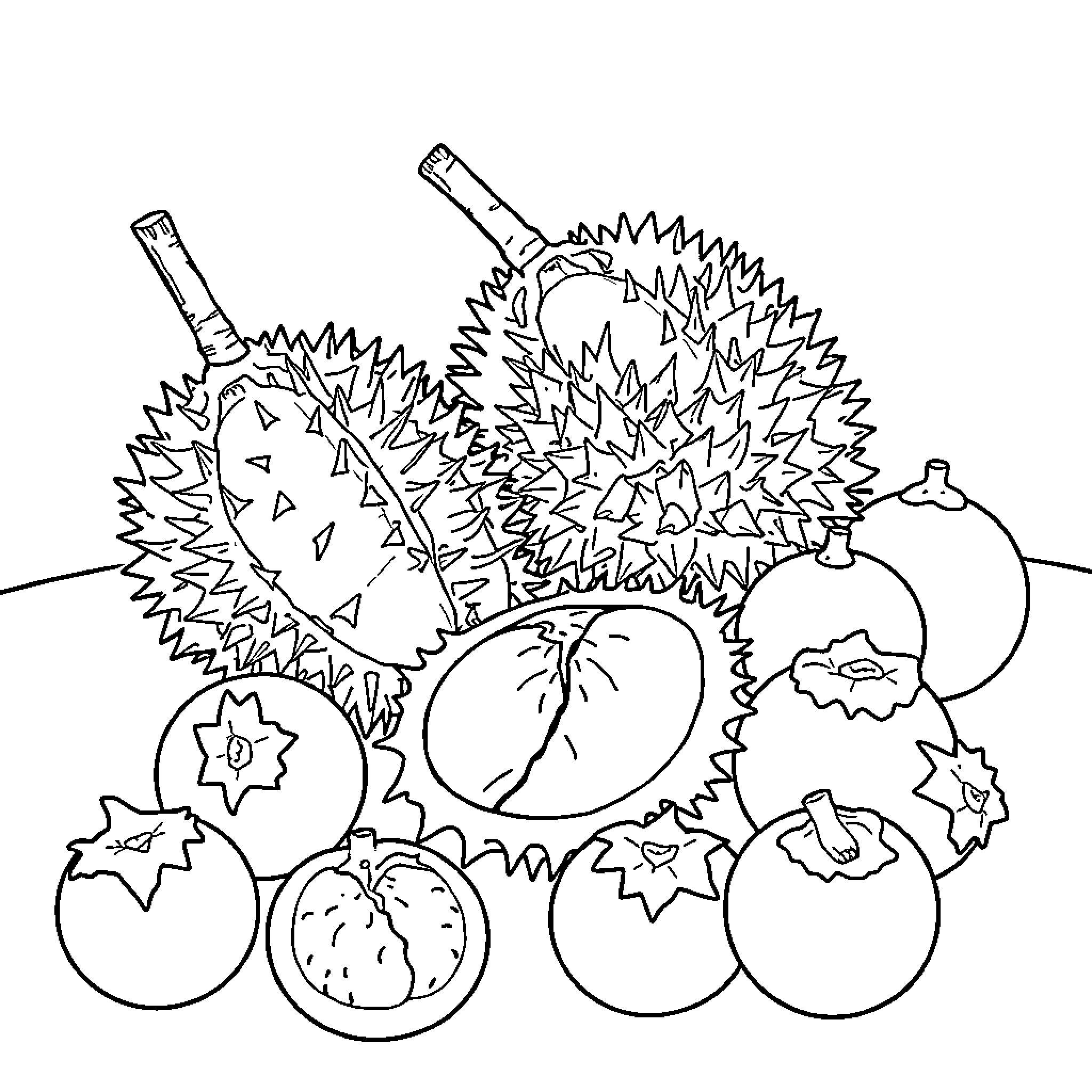 Durian and other tropical fruits Coloring Page (free black-and-white line drawing printable PDF for all, from beginners to advanced learners, including children, teens, adults, and seniors)