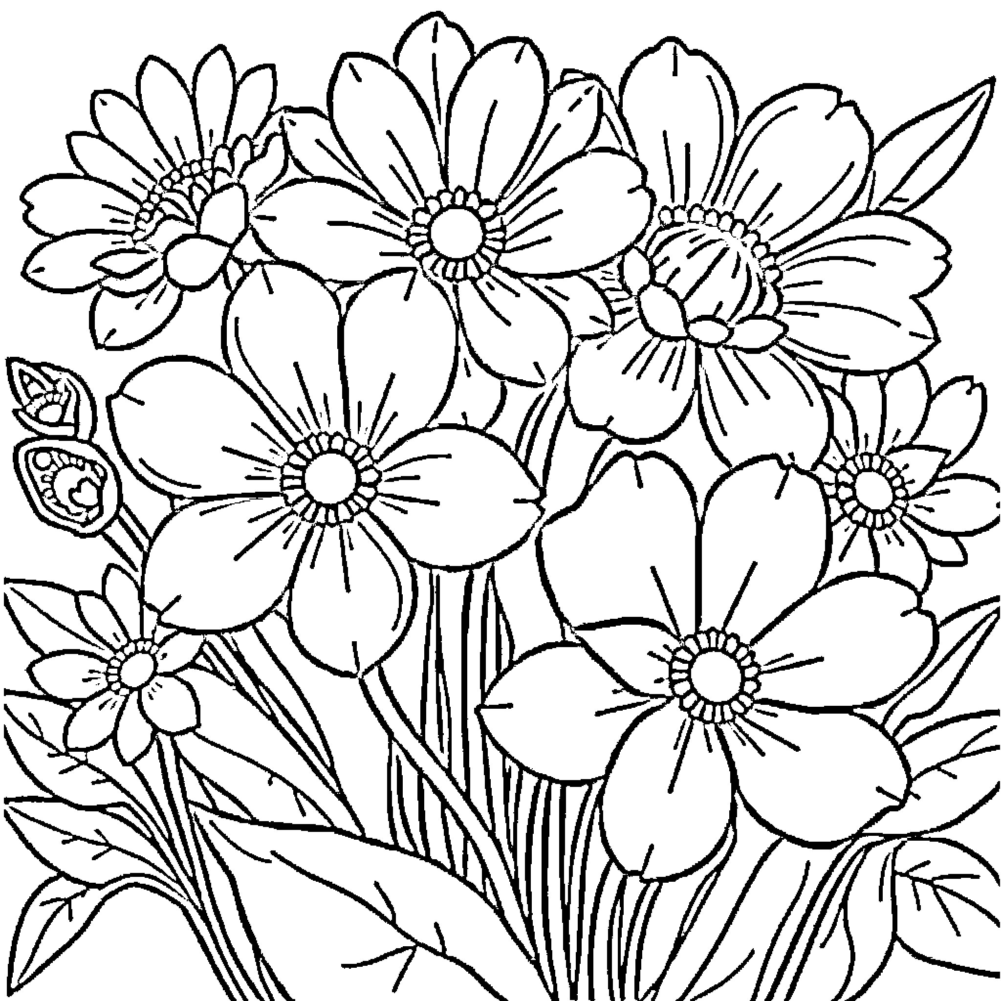 Flower bouquet with blossoming flowers Coloring Page (free black-and-white line drawing printable PDF for all, from beginners to advanced learners, including children, teens, adults, and seniors)