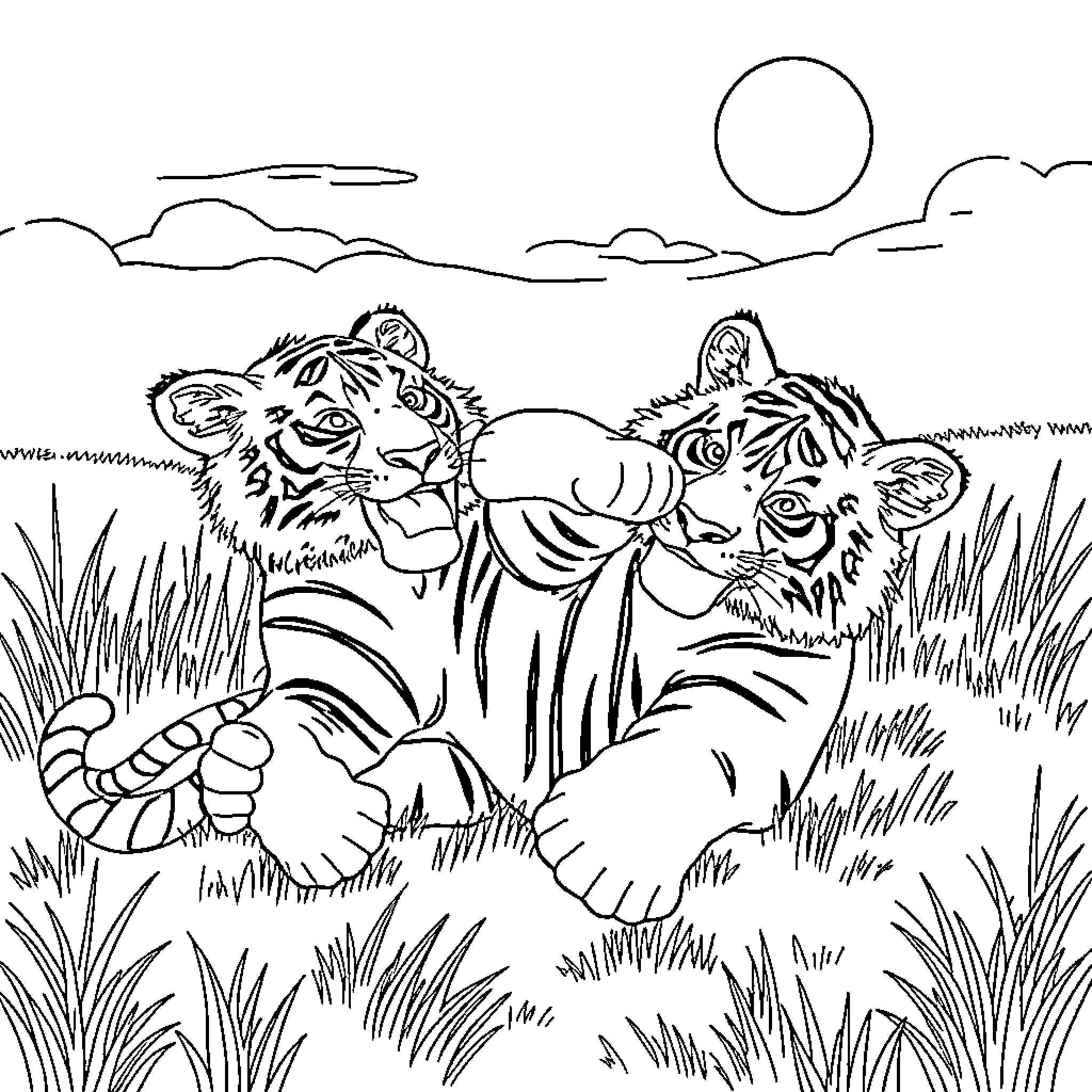 Tigers Roaring Playfully in Grasslands Coloring Page (free black-and-white line drawing printable PDF for all, from beginners to advanced learners, including children, teens, adults, and seniors)