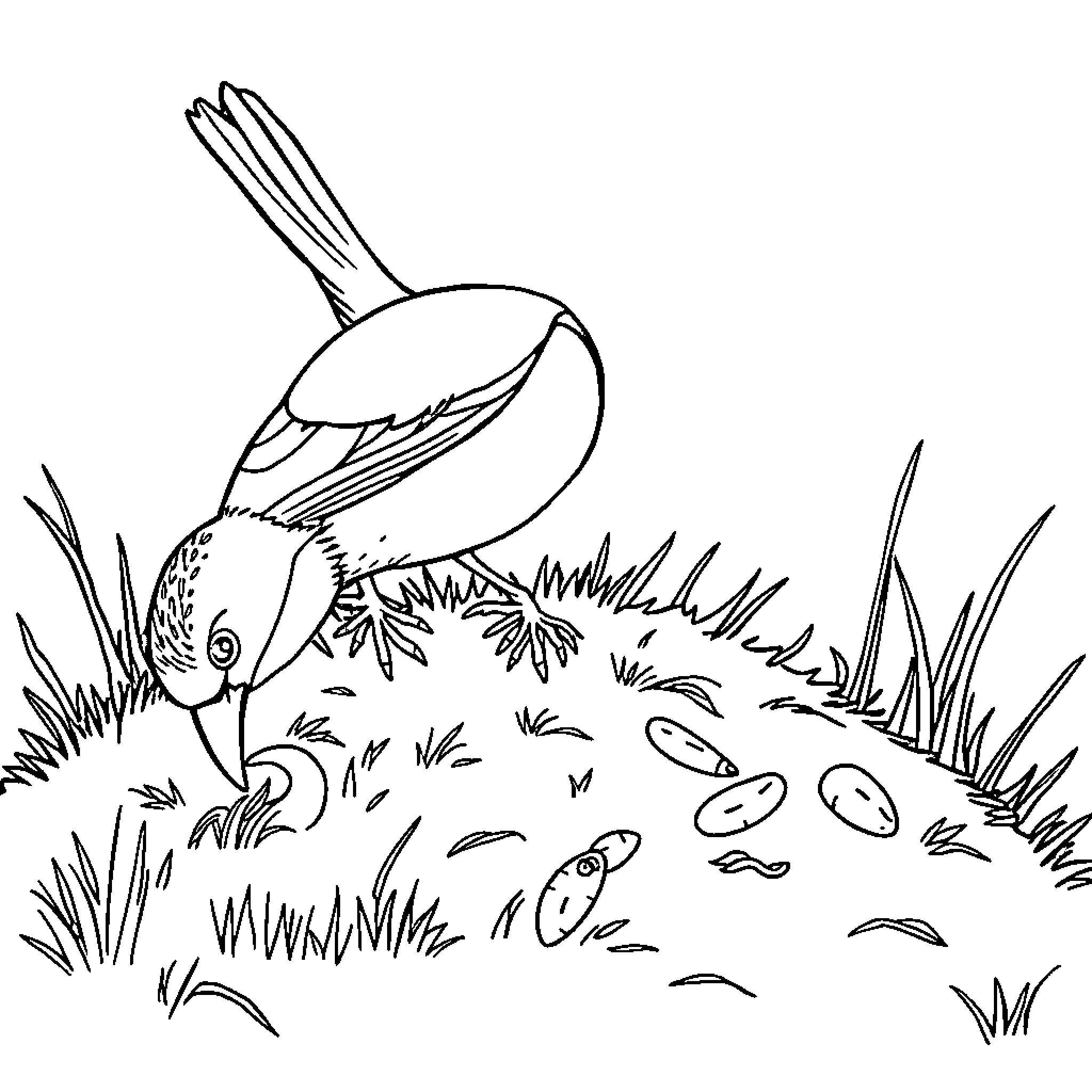 Bird feeding on the ground in a grassy field Coloring Page (free black-and-white line drawing printable PDF for all, from beginners to advanced learners, including children, teens, adults, and seniors)