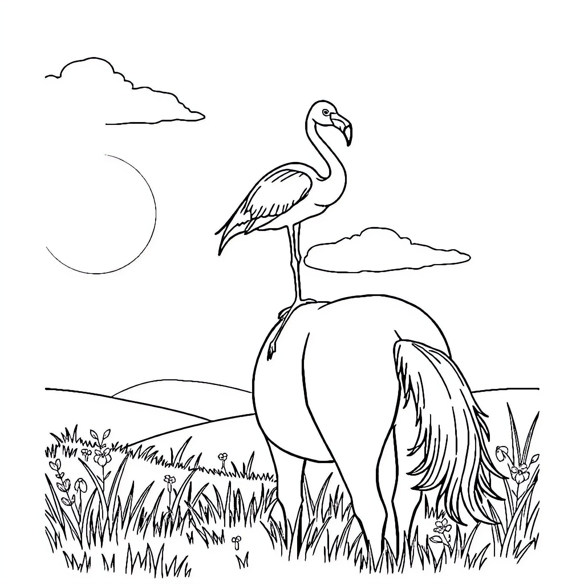 Flamingo standing gracefully in the meadow Coloring Page (free black-and-white line drawing printable PDF for all, from beginners to advanced learners, including children, teens, adults, and seniors)