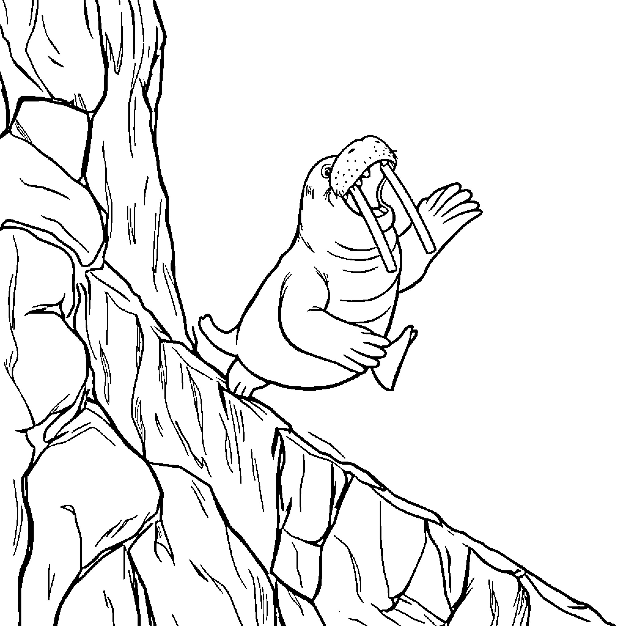 Walrus clinging to a rocky cliff Coloring Page (free black-and-white line drawing printable PDF for all, from beginners to advanced learners, including children, teens, adults, and seniors)