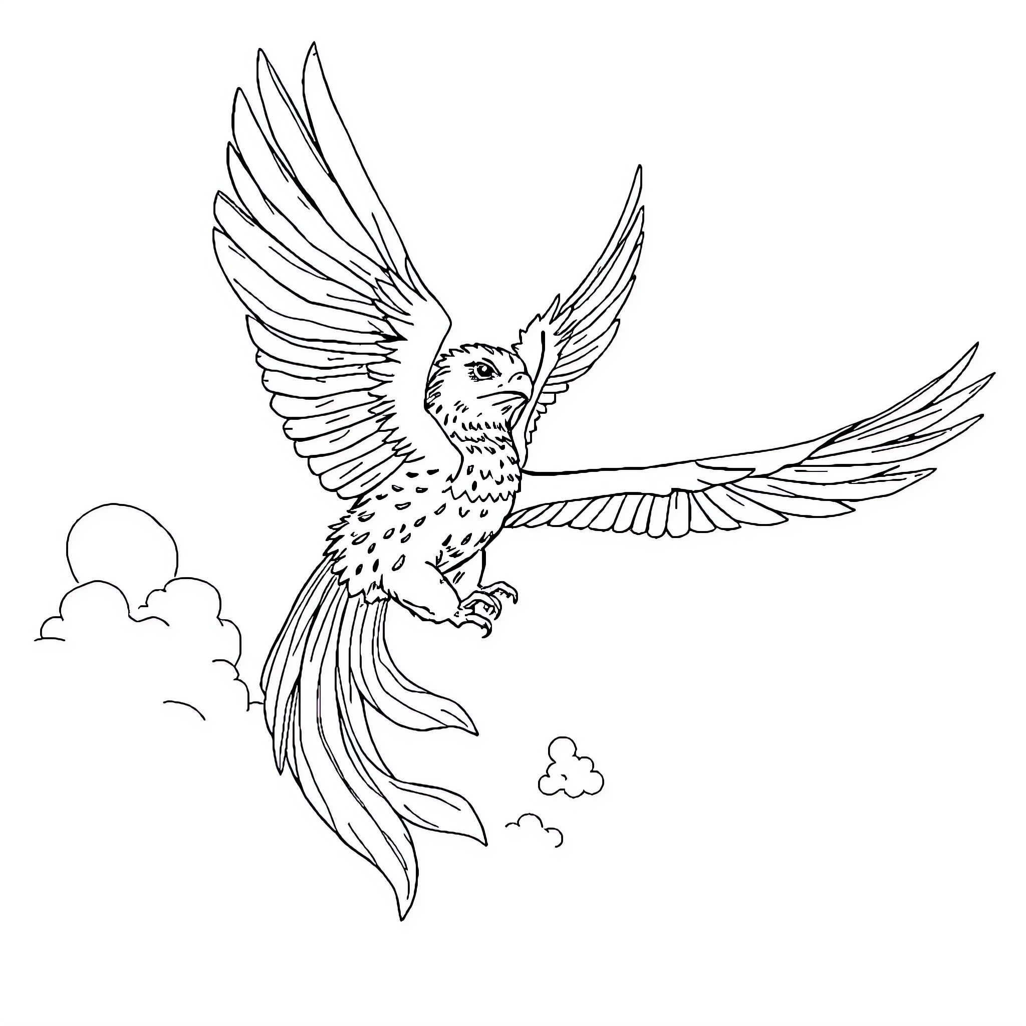 Flying Dog with Majestic Wings Coloring Page (free black-and-white line drawing printable PDF for all, from beginners to advanced learners, including children, teens, adults, and seniors)