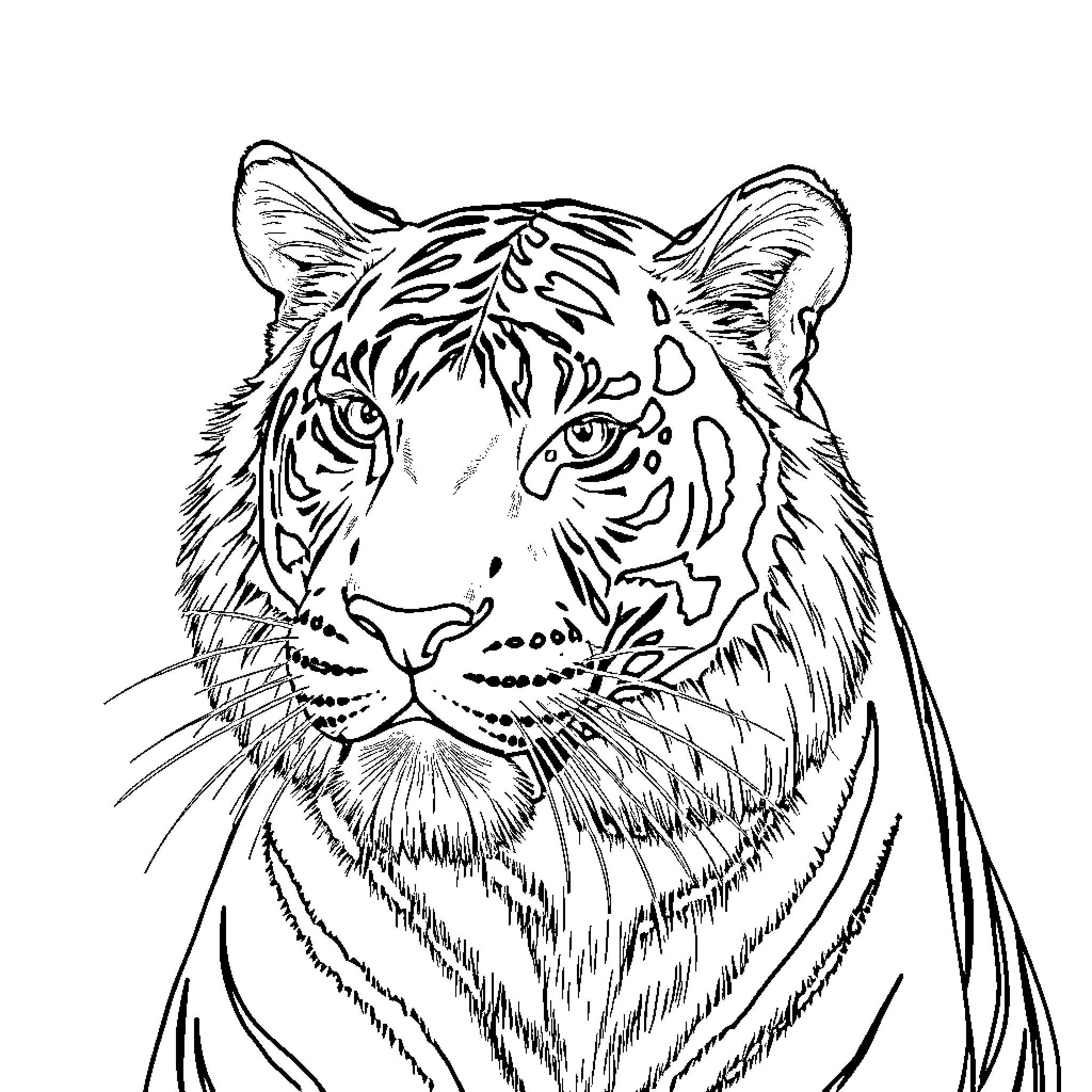 Tigre's Captivating Gaze Coloring Page (free black-and-white line drawing printable PDF for all, from beginners to advanced learners, including children, teens, adults, and seniors)