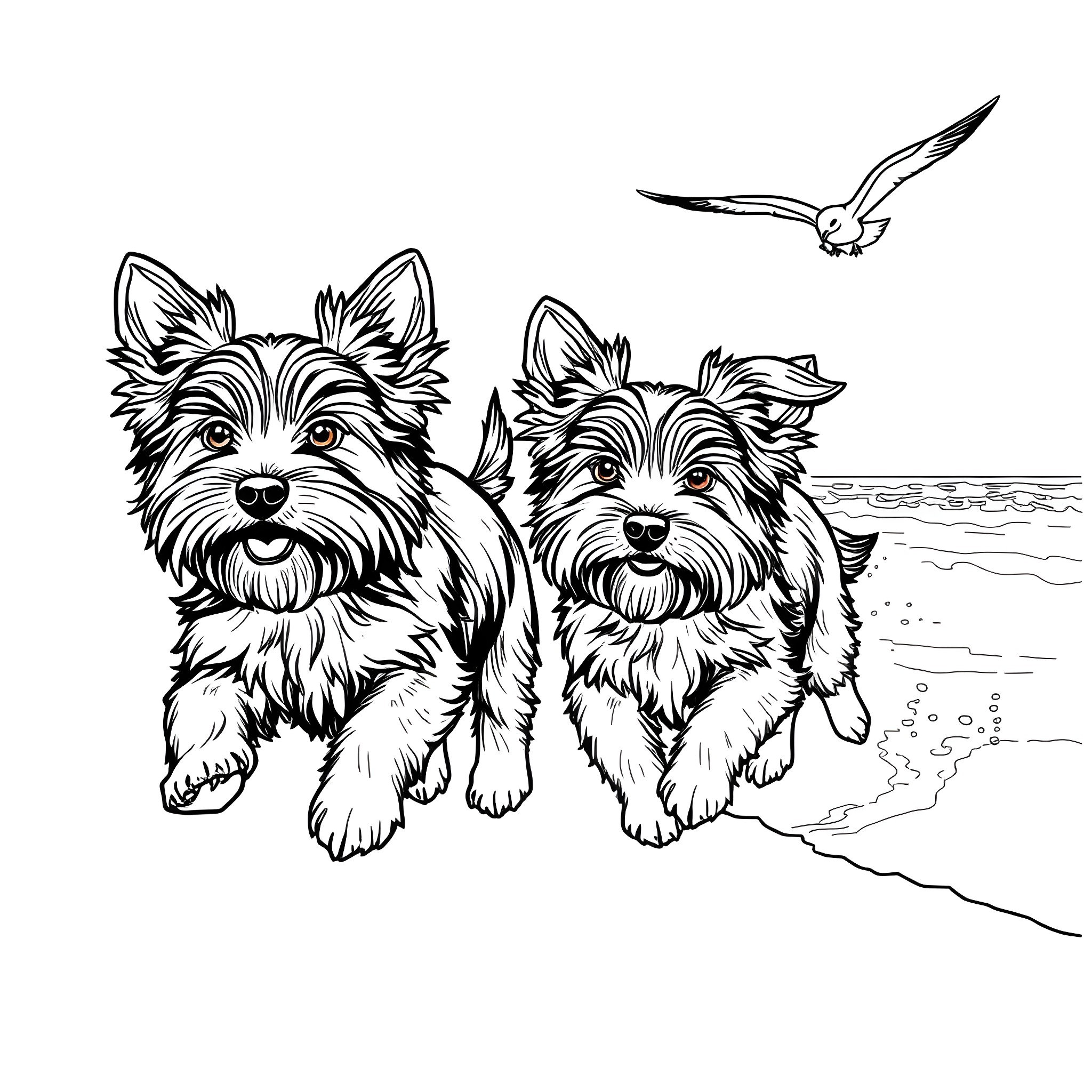 Yorkie siblings playing on the beach Coloring Page (free black-and-white line drawing printable PDF for all, from beginners to advanced learners, including children, teens, adults, and seniors)