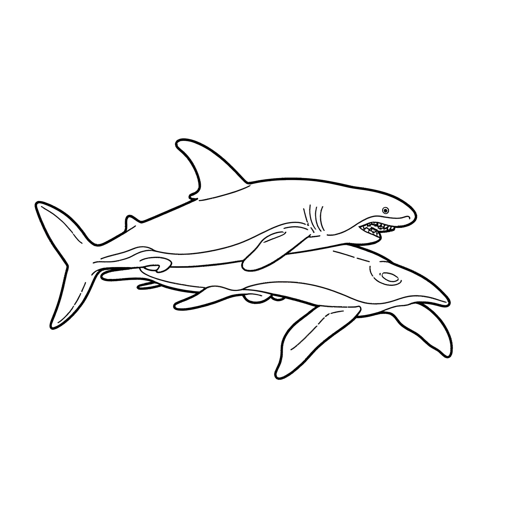 Shark duo swimming in the ocean Coloring Page (free black-and-white line drawing printable PDF for all, from beginners to advanced learners, including children, teens, adults, and seniors)