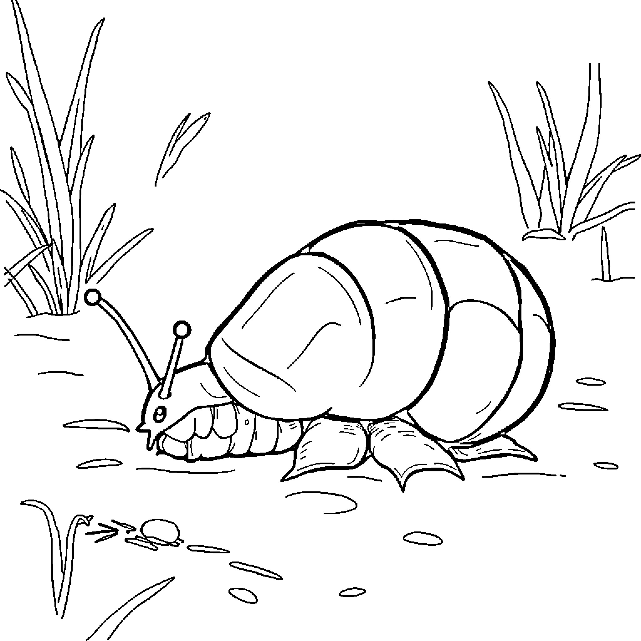 Pill Bug curled up in nature Coloring Page (free black-and-white line drawing printable PDF for all, from beginners to advanced learners, including children, teens, adults, and seniors)
