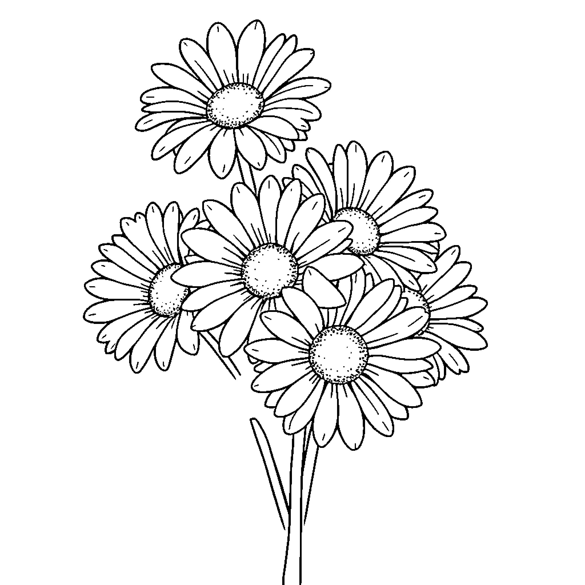 Daisy Flowers in a Bouquet Coloring Page (free black-and-white line drawing printable PDF for all, from beginners to advanced learners, including children, teens, adults, and seniors)