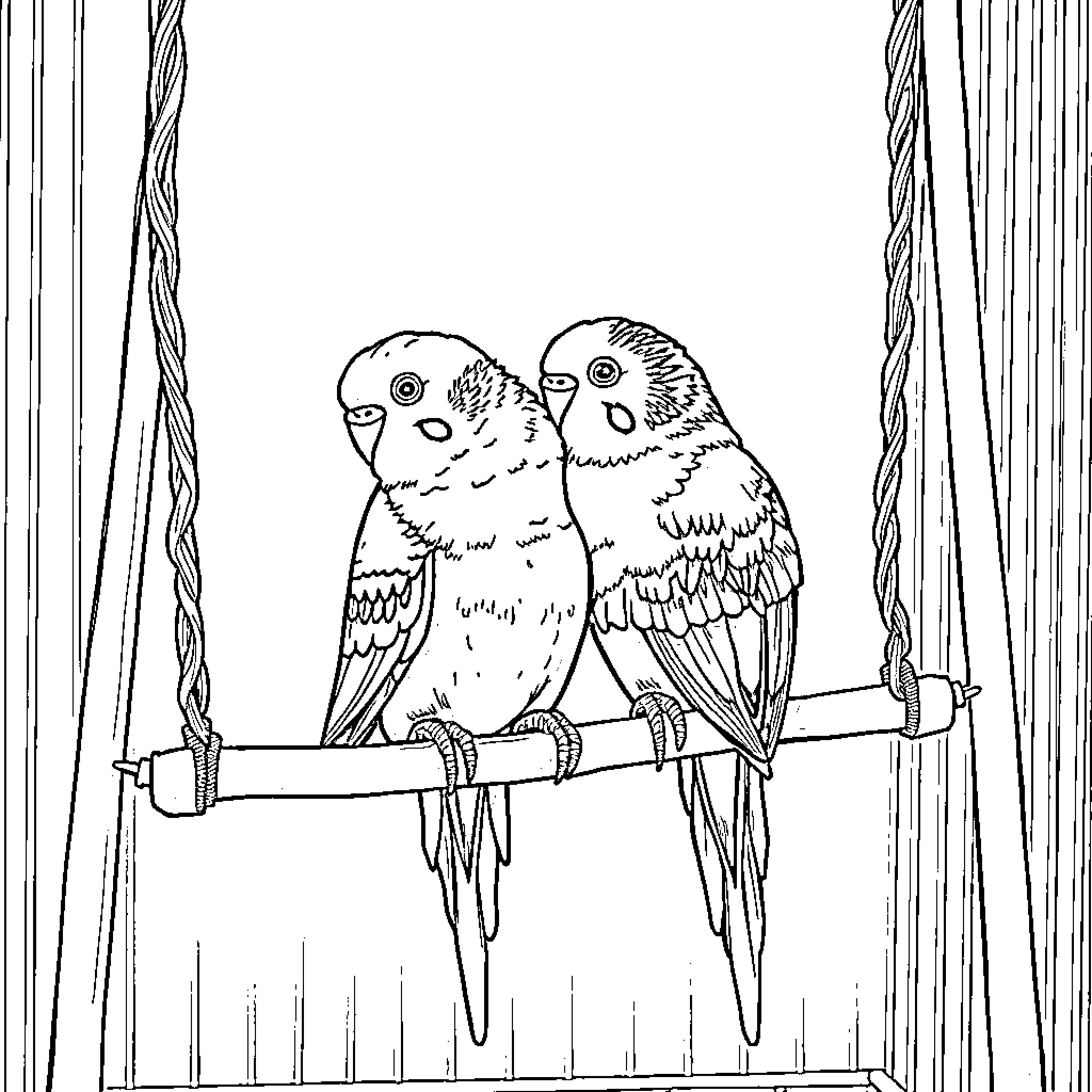 Budgie friends on perch inside enclosure Coloring Page (free black-and-white line drawing printable PDF for all, from beginners to advanced learners, including children, teens, adults, and seniors)