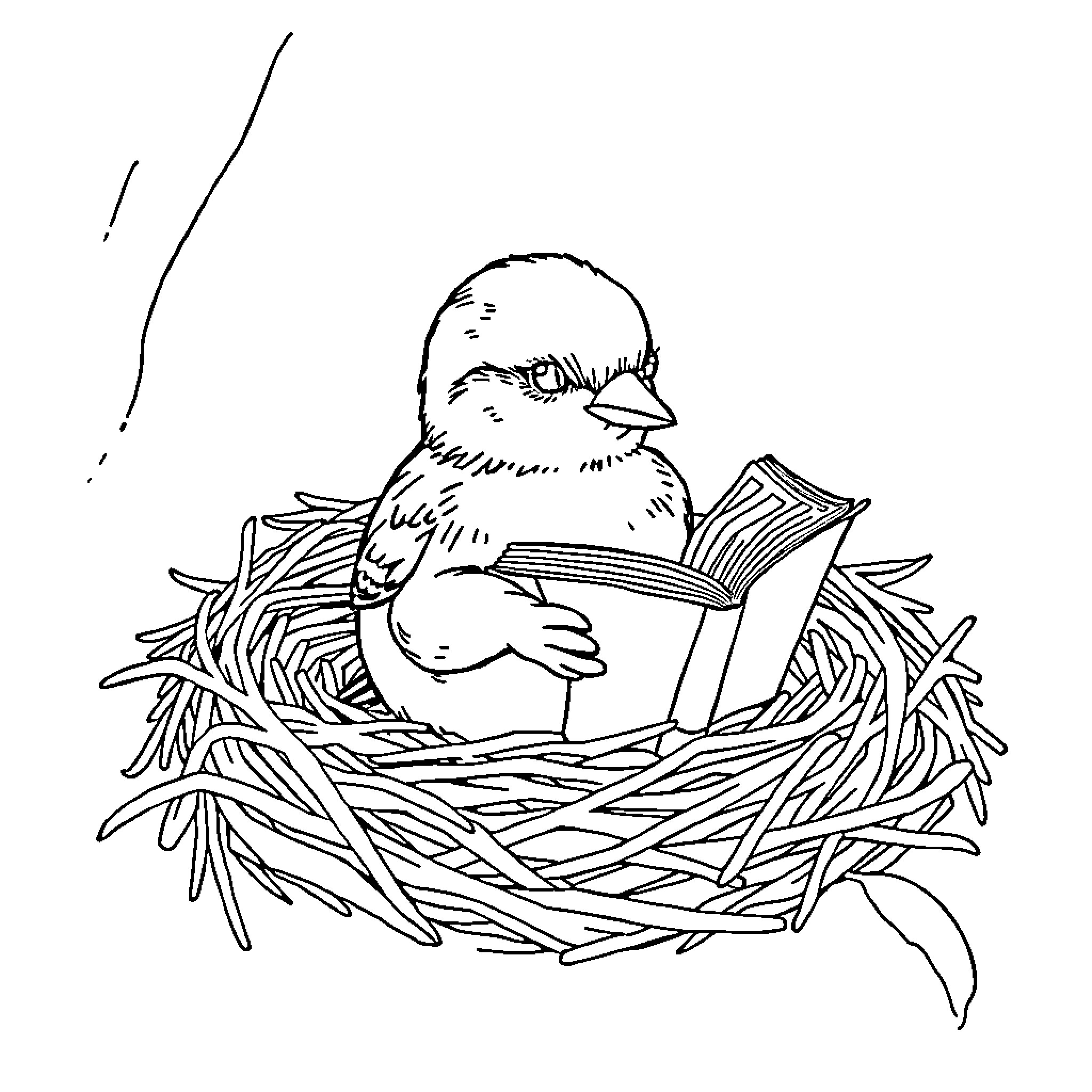 Sparrow reading a book in its nest Coloring Page (free black-and-white line drawing printable PDF for all, from beginners to advanced learners, including children, teens, adults, and seniors)