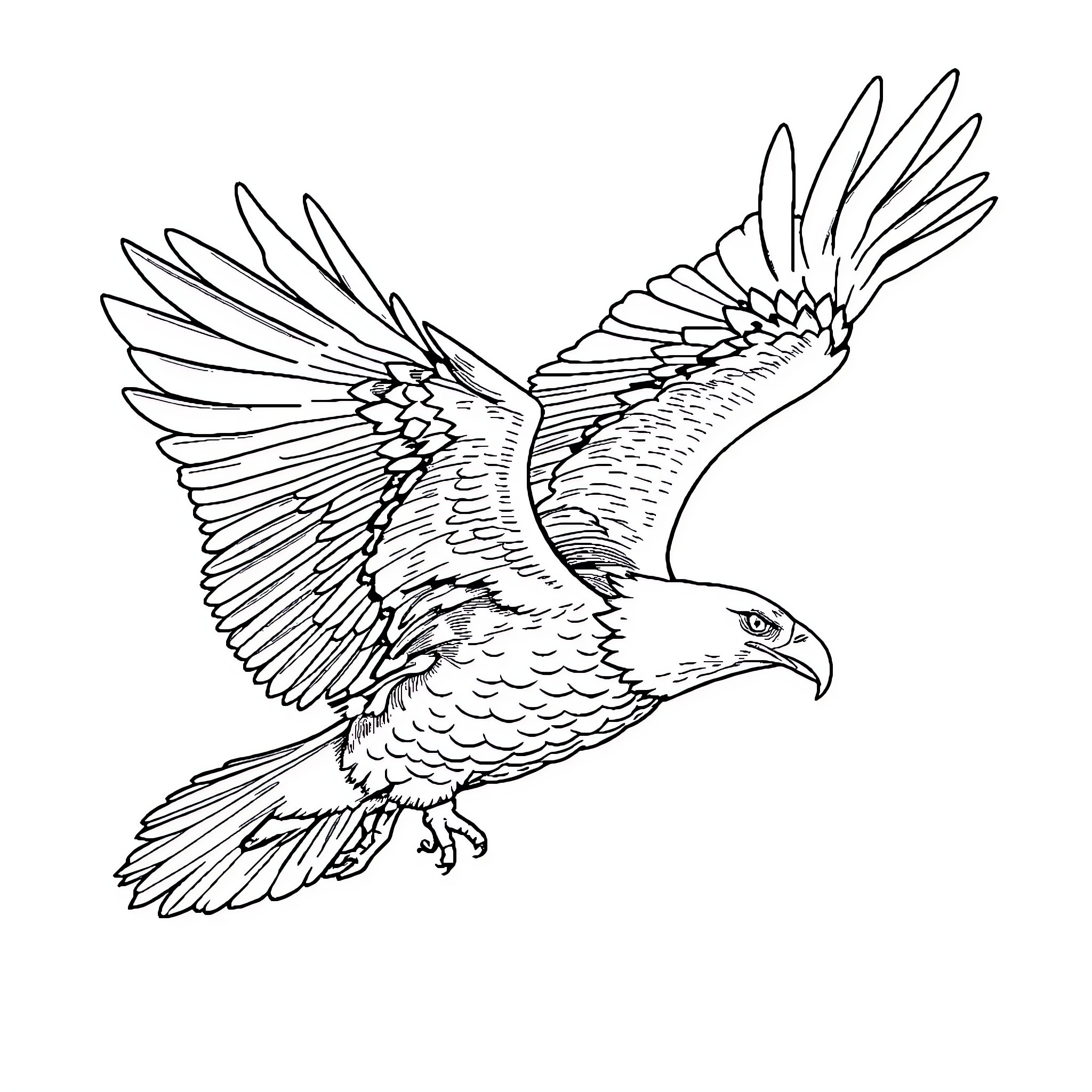 Bald Eagle in Flight Coloring Page (free black-and-white line drawing printable PDF for all, from beginners to advanced learners, including children, teens, adults, and seniors)