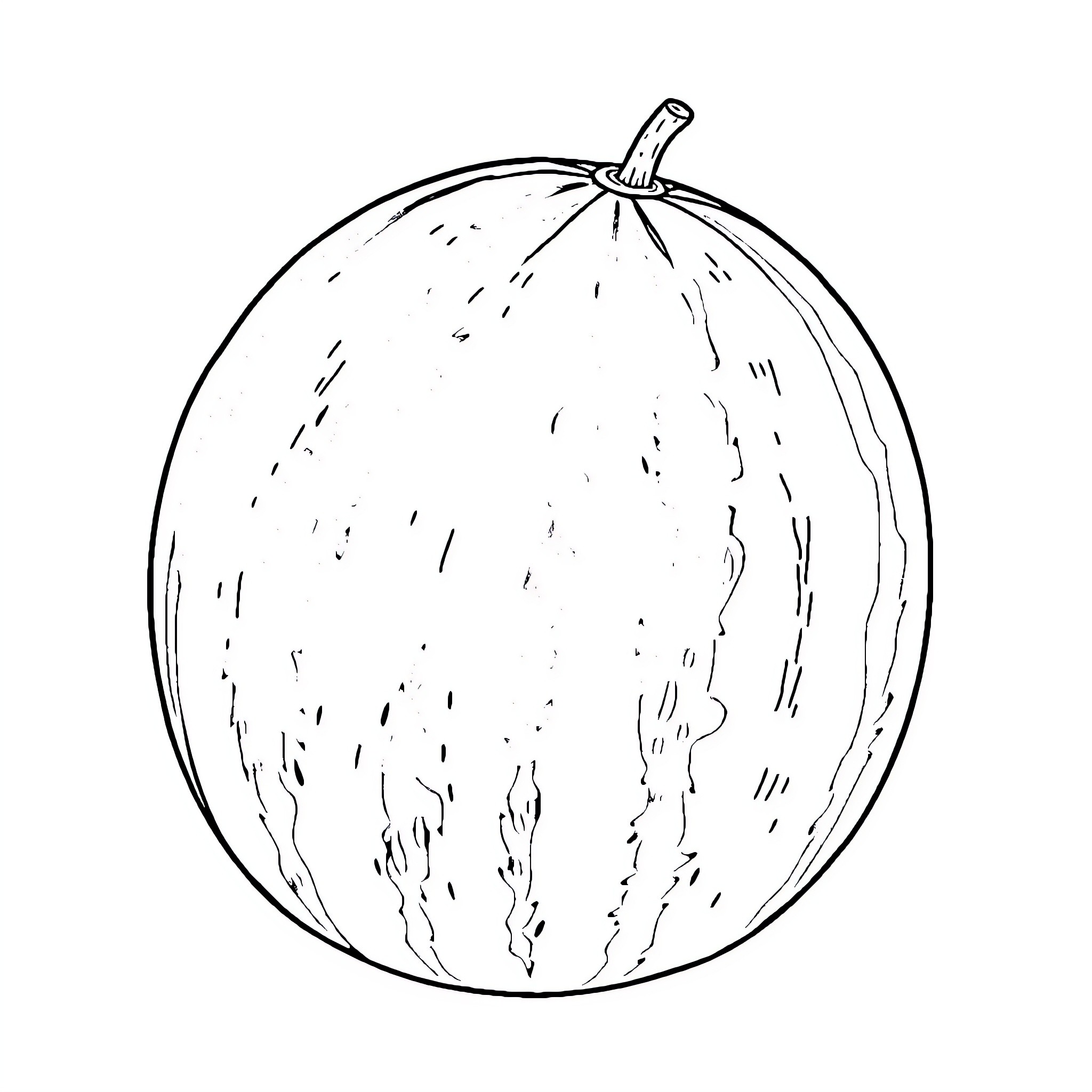 Watermelon with intricate patterns Coloring Page (free black-and-white line drawing printable PDF for all, from beginners to advanced learners, including children, teens, adults, and seniors)