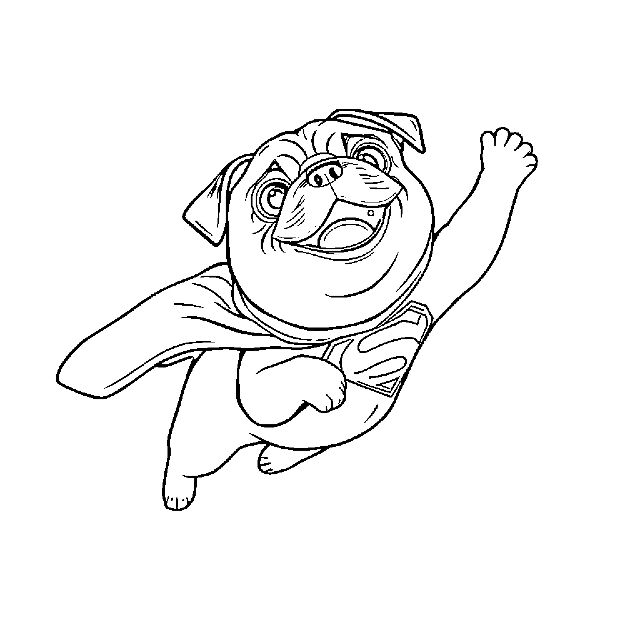 Pug in superhero costume flying through the air Coloring Page (free black-and-white line drawing printable PDF for all, from beginners to advanced learners, including children, teens, adults, and seniors)