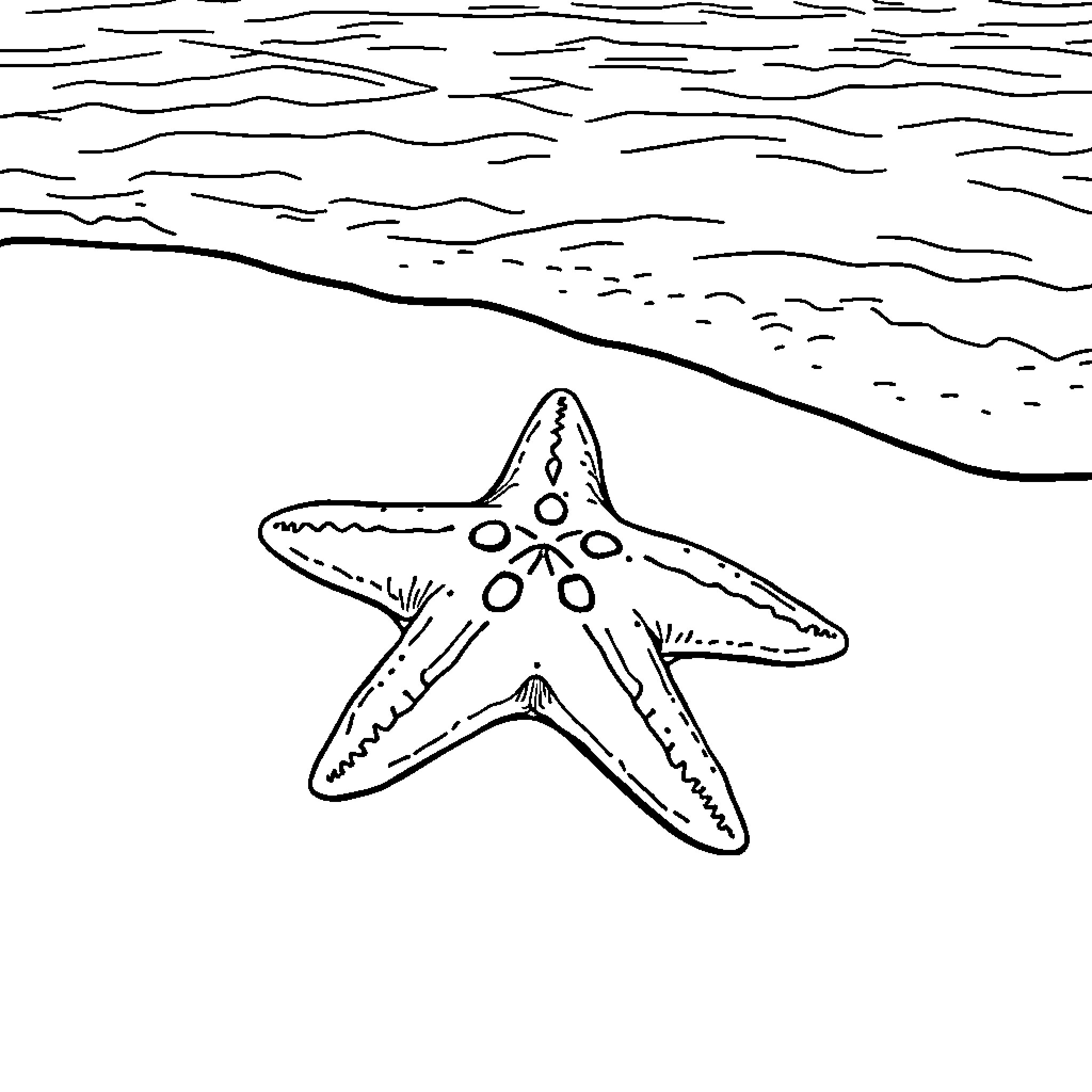 Sea Star Resting on the Beach Coloring Page (free black-and-white line drawing printable PDF for all, from beginners to advanced learners, including children, teens, adults, and seniors)