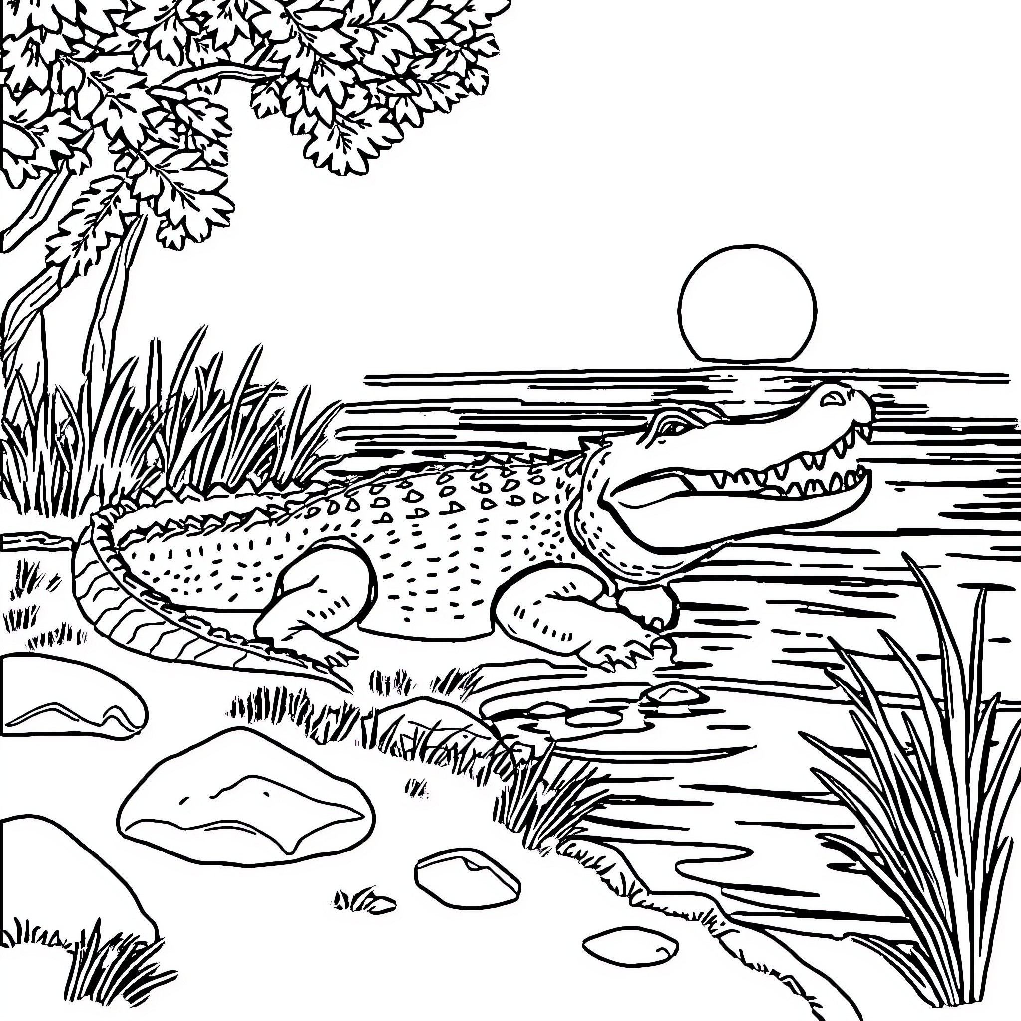 Alligator resting in serene swamp landscape Coloring Page (free black-and-white line drawing printable PDF for all, from beginners to advanced learners, including children, teens, adults, and seniors)