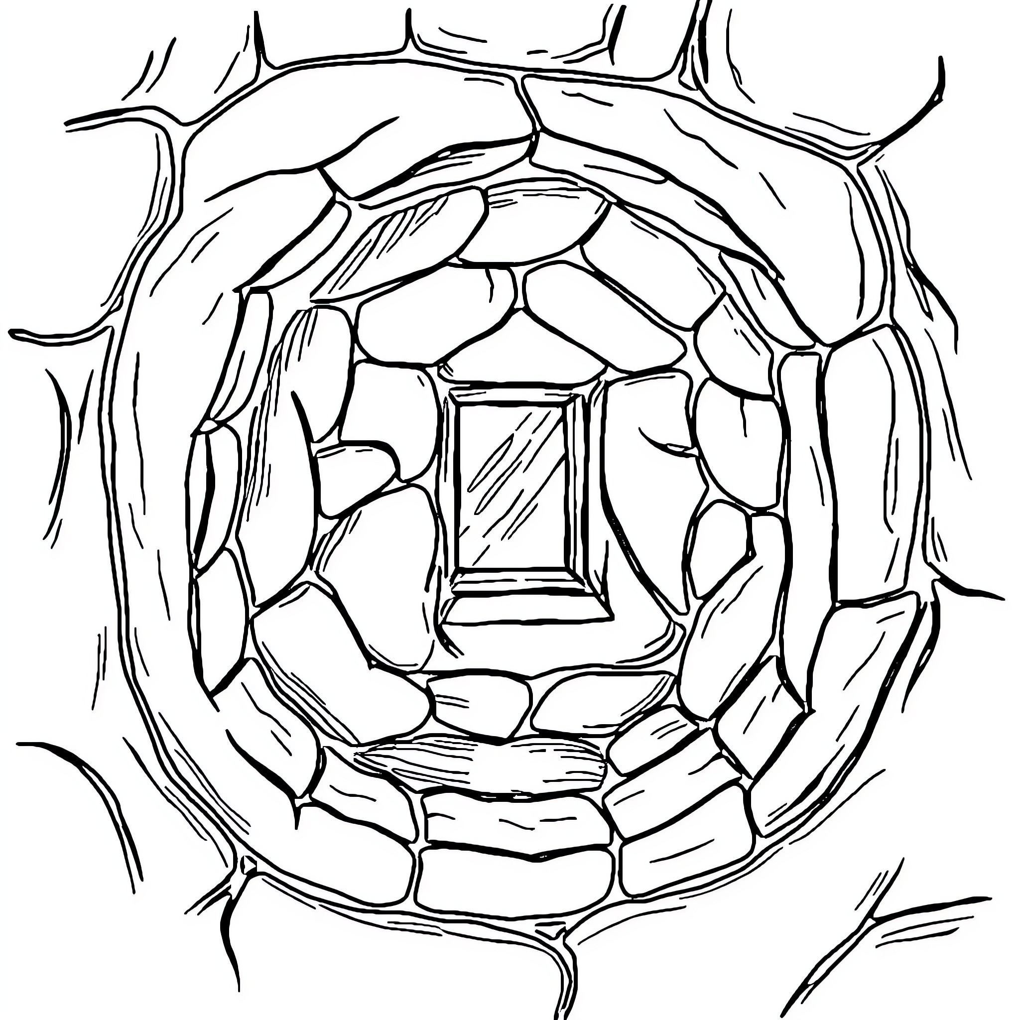 Cell with intricate geometric patterns Coloring Page (free black-and-white line drawing printable PDF for all, from beginners to advanced learners, including children, teens, adults, and seniors)