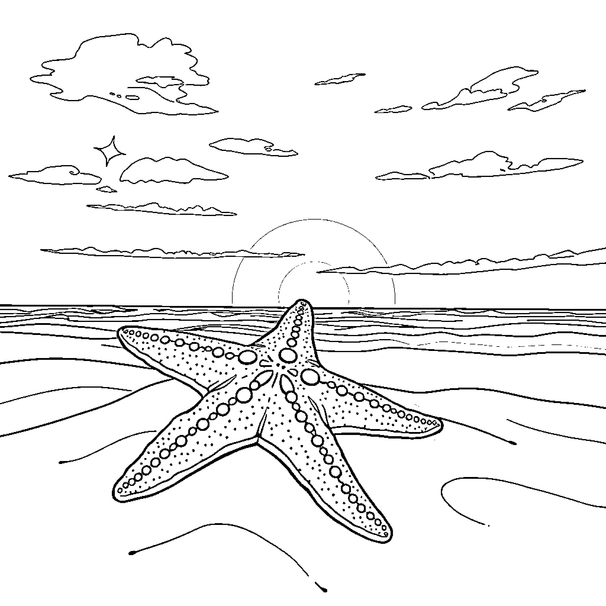 Starfish enjoying the sunset at the beach Coloring Page (free black-and-white line drawing printable PDF for all, from beginners to advanced learners, including children, teens, adults, and seniors)