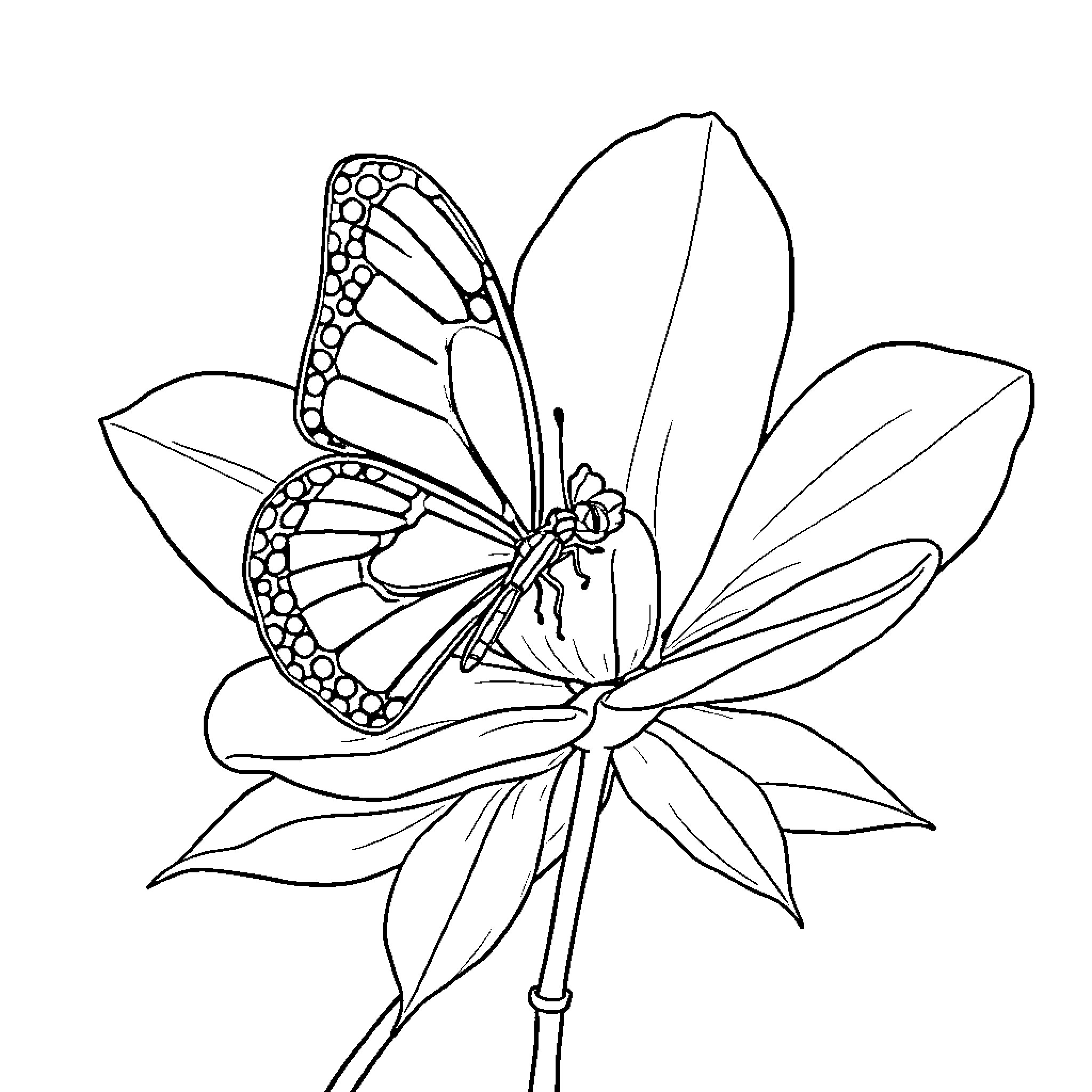 Butterfly resting on a delicate flower Coloring Page (free black-and-white line drawing printable PDF for all, from beginners to advanced learners, including children, teens, adults, and seniors)