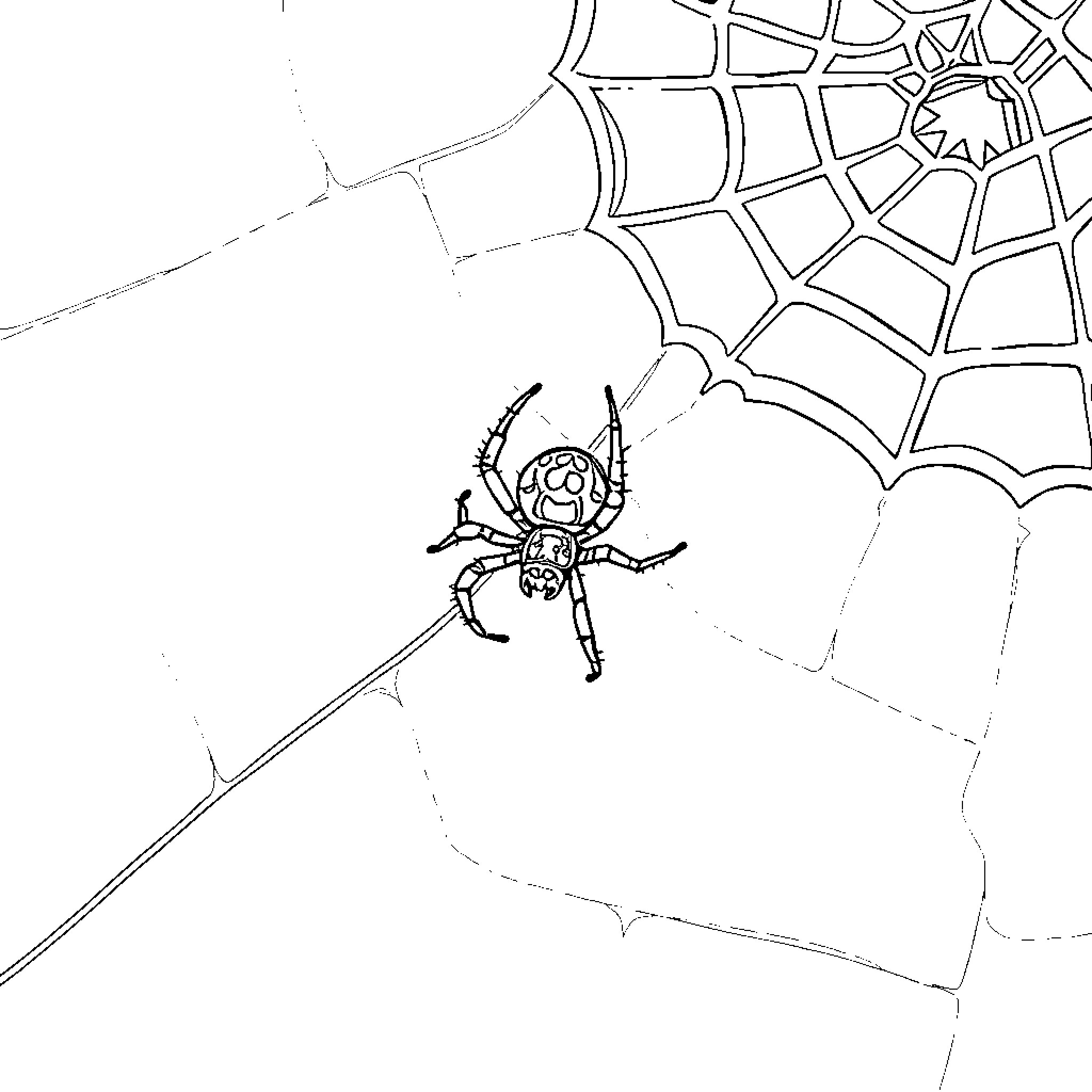 Spider Hanging Precariously on Its Web Coloring Page (free black-and-white line drawing printable PDF for all, from beginners to advanced learners, including children, teens, adults, and seniors)