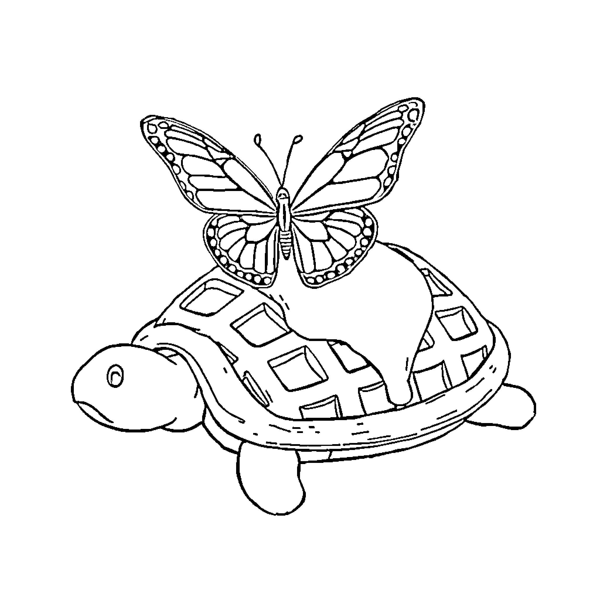 Butterfly resting on a patterned turtle Coloring Page (free black-and-white line drawing printable PDF for all, from beginners to advanced learners, including children, teens, adults, and seniors)