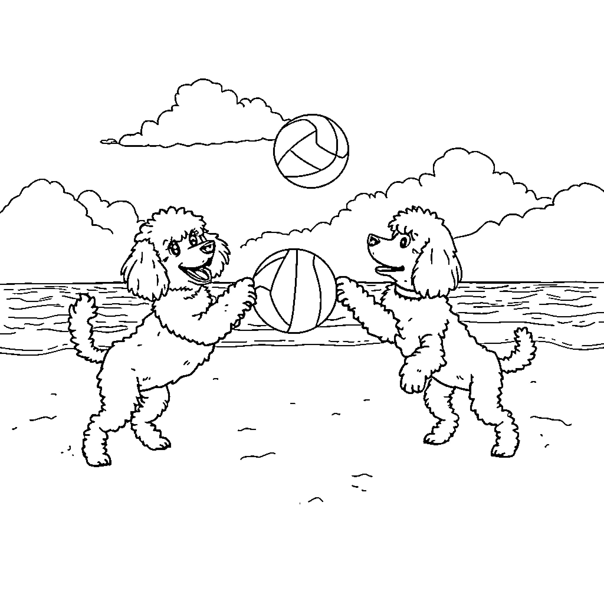 Poodle friends playing with beach ball on the shore Coloring Page (free black-and-white line drawing printable PDF for all, from beginners to advanced learners, including children, teens, adults, and seniors)