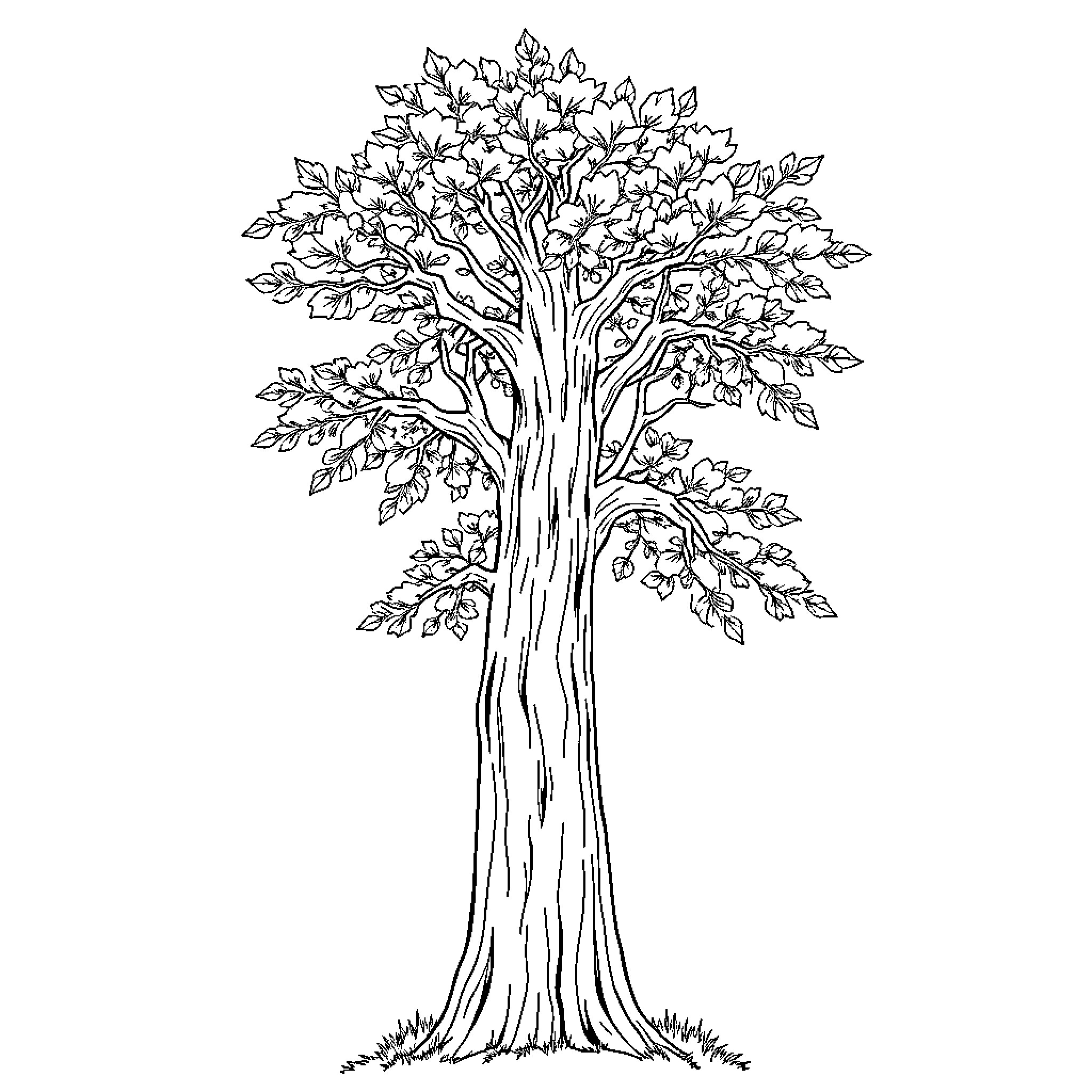 Tree with lush foliage in black and white Coloring Page (free black-and-white line drawing printable PDF for all, from beginners to advanced learners, including children, teens, adults, and seniors)