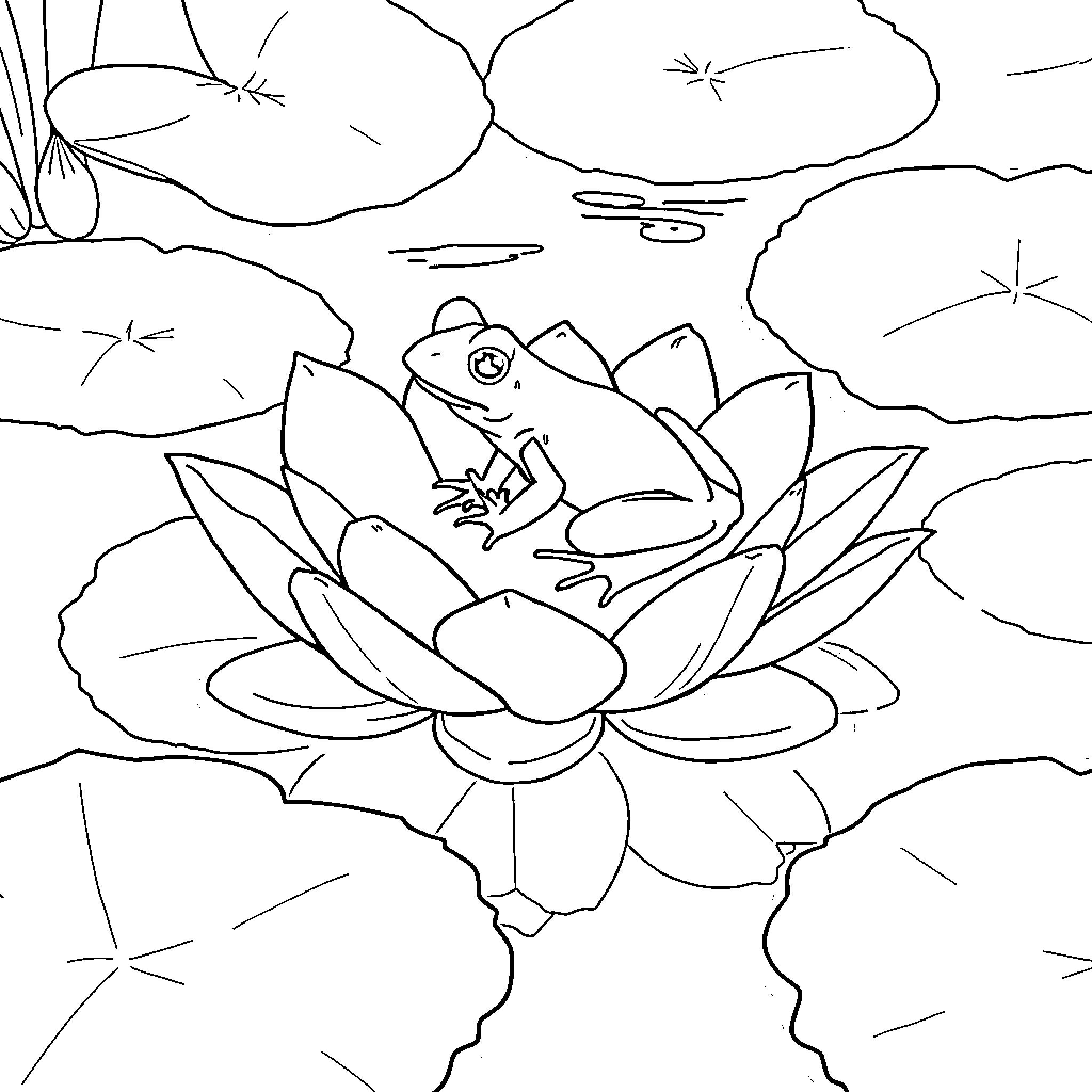 Frog resting on a lily pad in a pond Coloring Page (free black-and-white line drawing printable PDF for all, from beginners to advanced learners, including children, teens, adults, and seniors)
