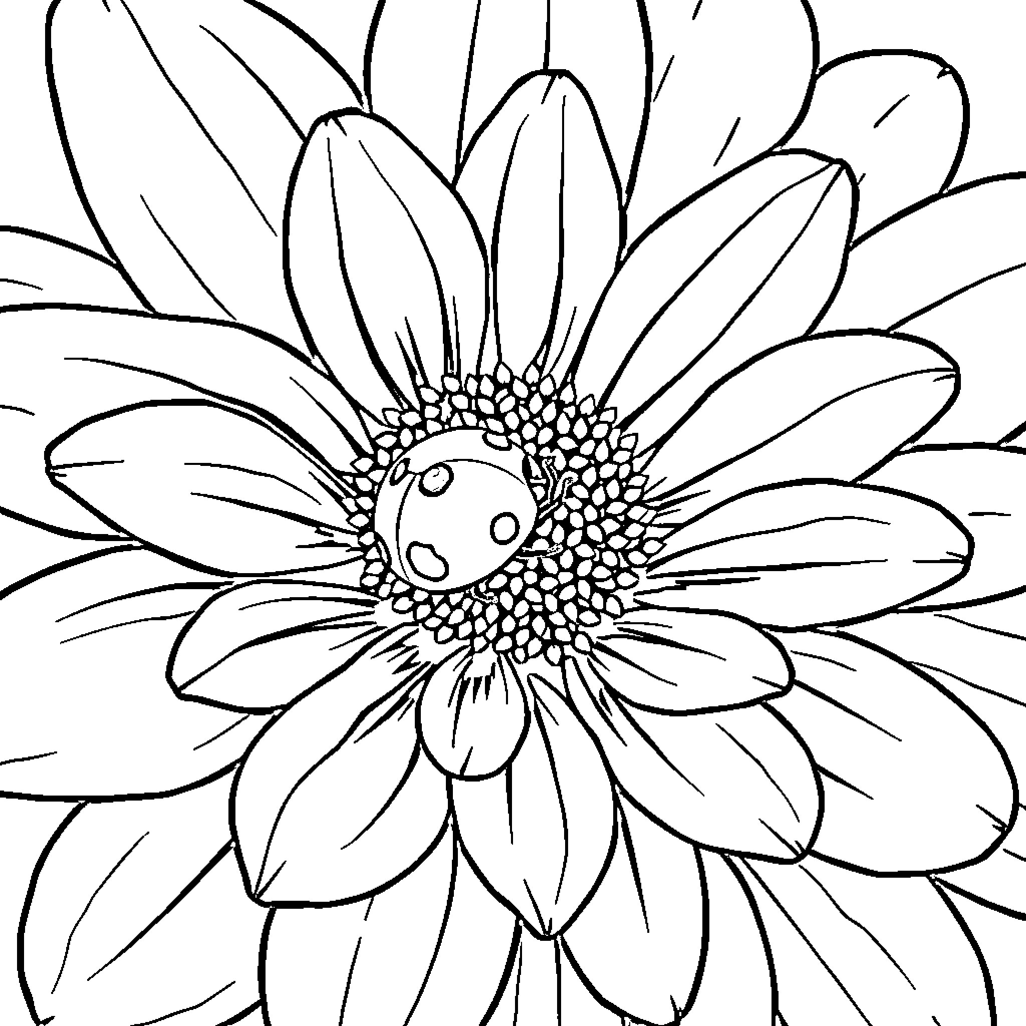 Ladybug admiring the intricate petals of a flower Coloring Page (free black-and-white line drawing printable PDF for all, from beginners to advanced learners, including children, teens, adults, and seniors)