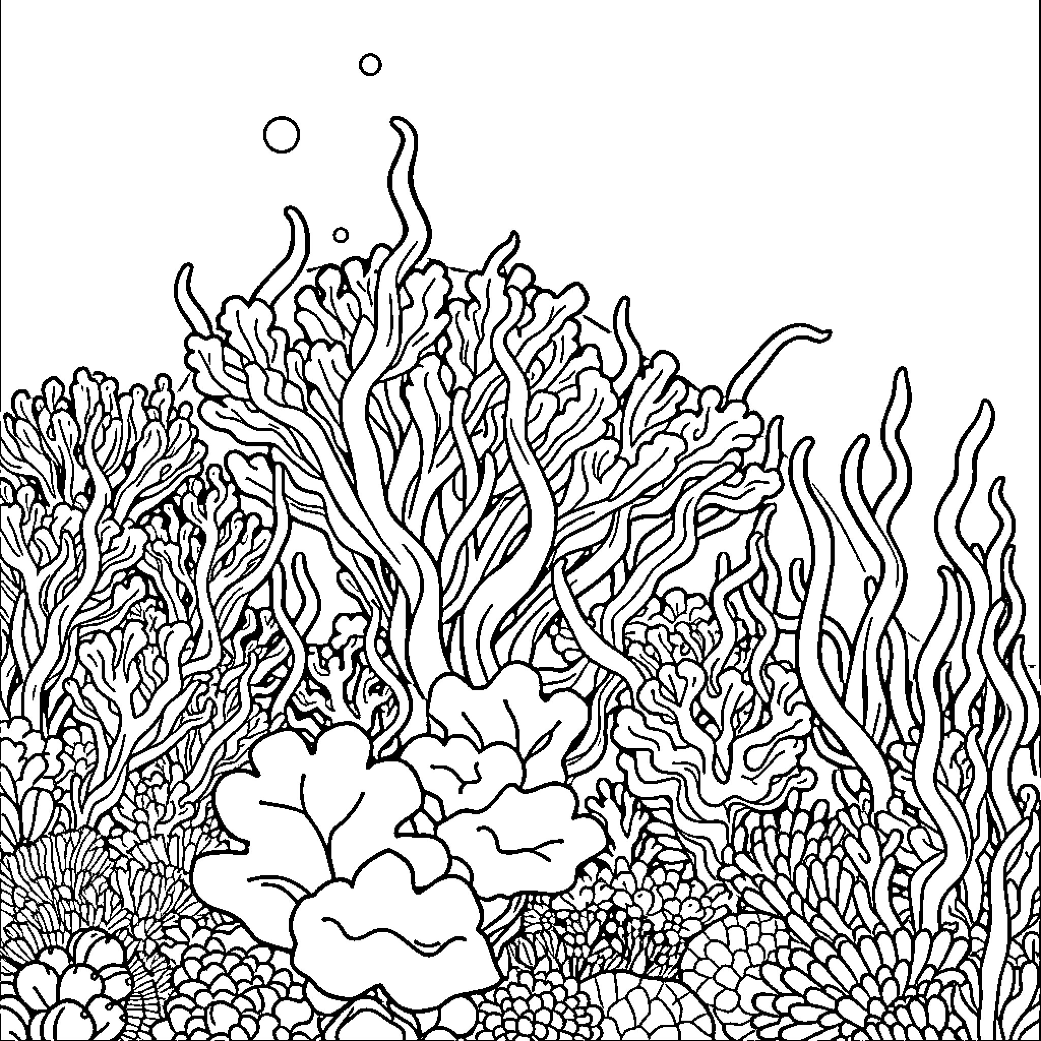 Coral reef with intricate marine flora Coloring Page (free black-and-white line drawing printable PDF for all, from beginners to advanced learners, including children, teens, adults, and seniors)