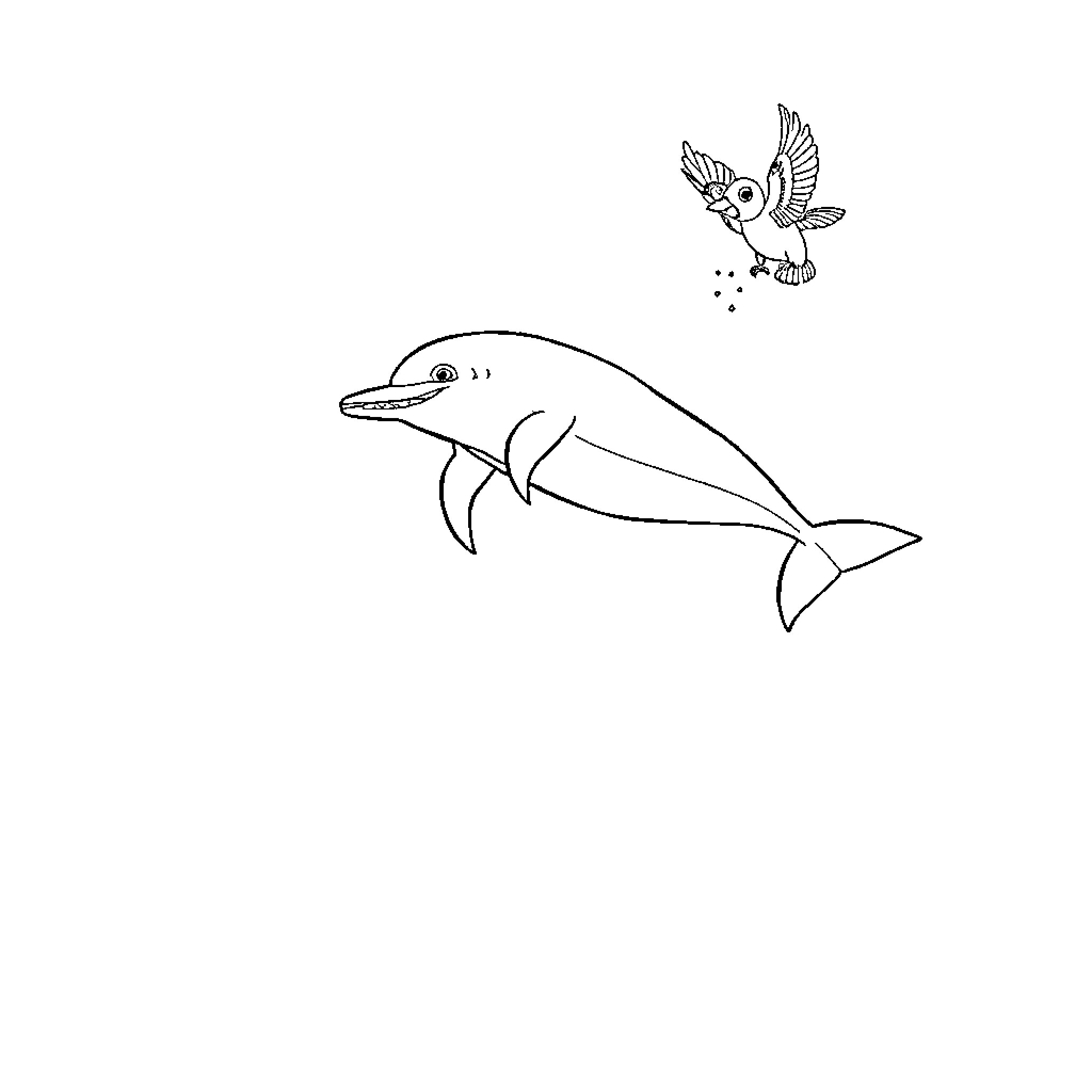 Dolphin swimming with a playful bird Coloring Page (free black-and-white line drawing printable PDF for all, from beginners to advanced learners, including children, teens, adults, and seniors)