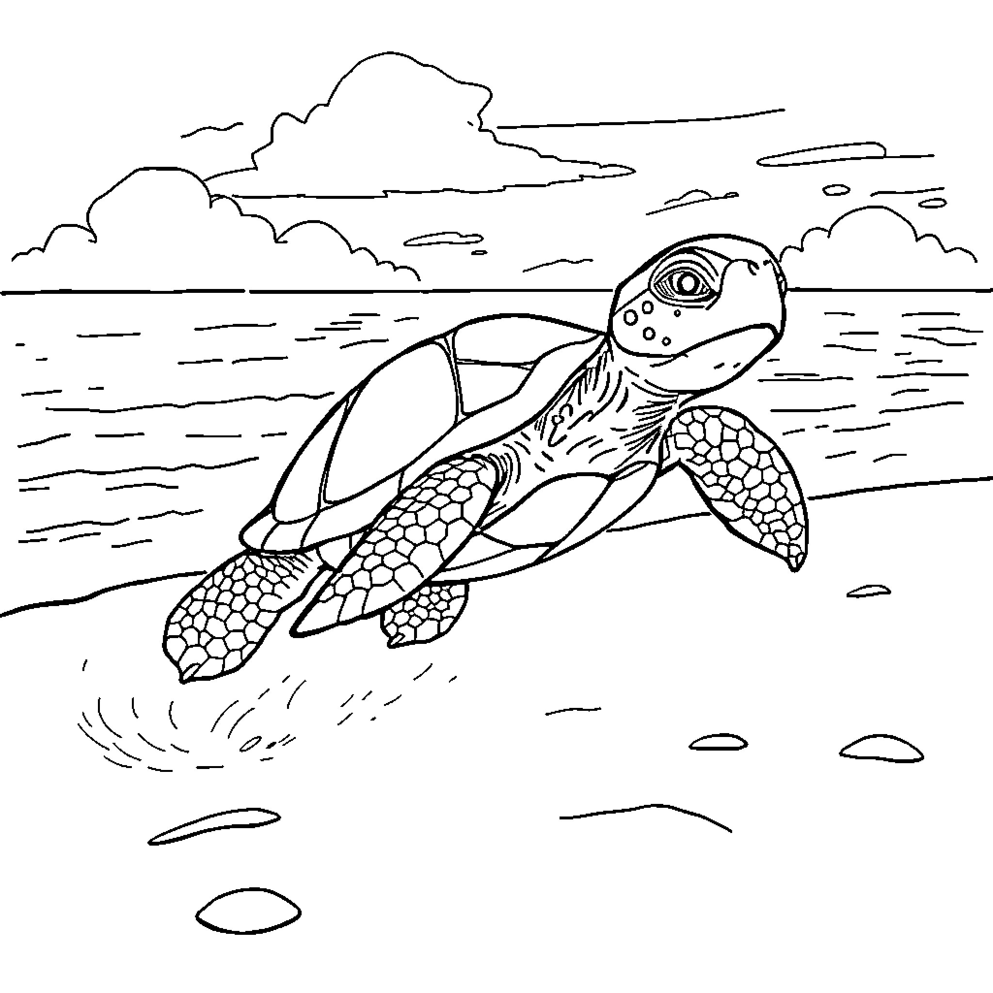 Sea Turtle swimming in the ocean Coloring Page (free black-and-white line drawing printable PDF for all, from beginners to advanced learners, including children, teens, adults, and seniors)