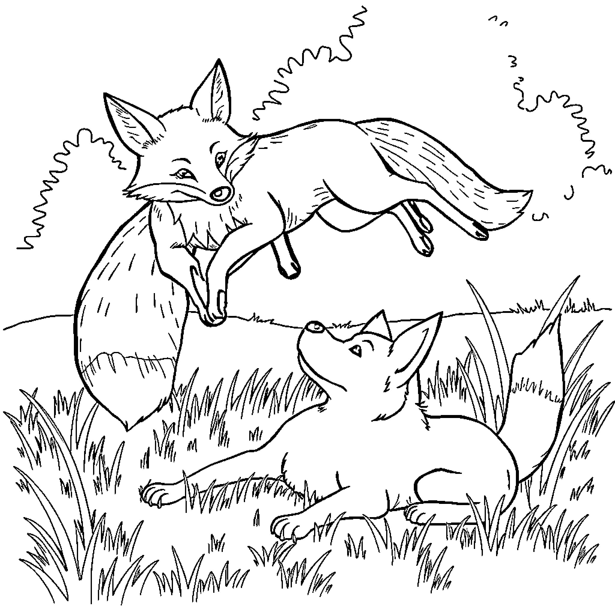 Fox siblings playing and exploring in nature Coloring Page (free black-and-white line drawing printable PDF for all, from beginners to advanced learners, including children, teens, adults, and seniors)