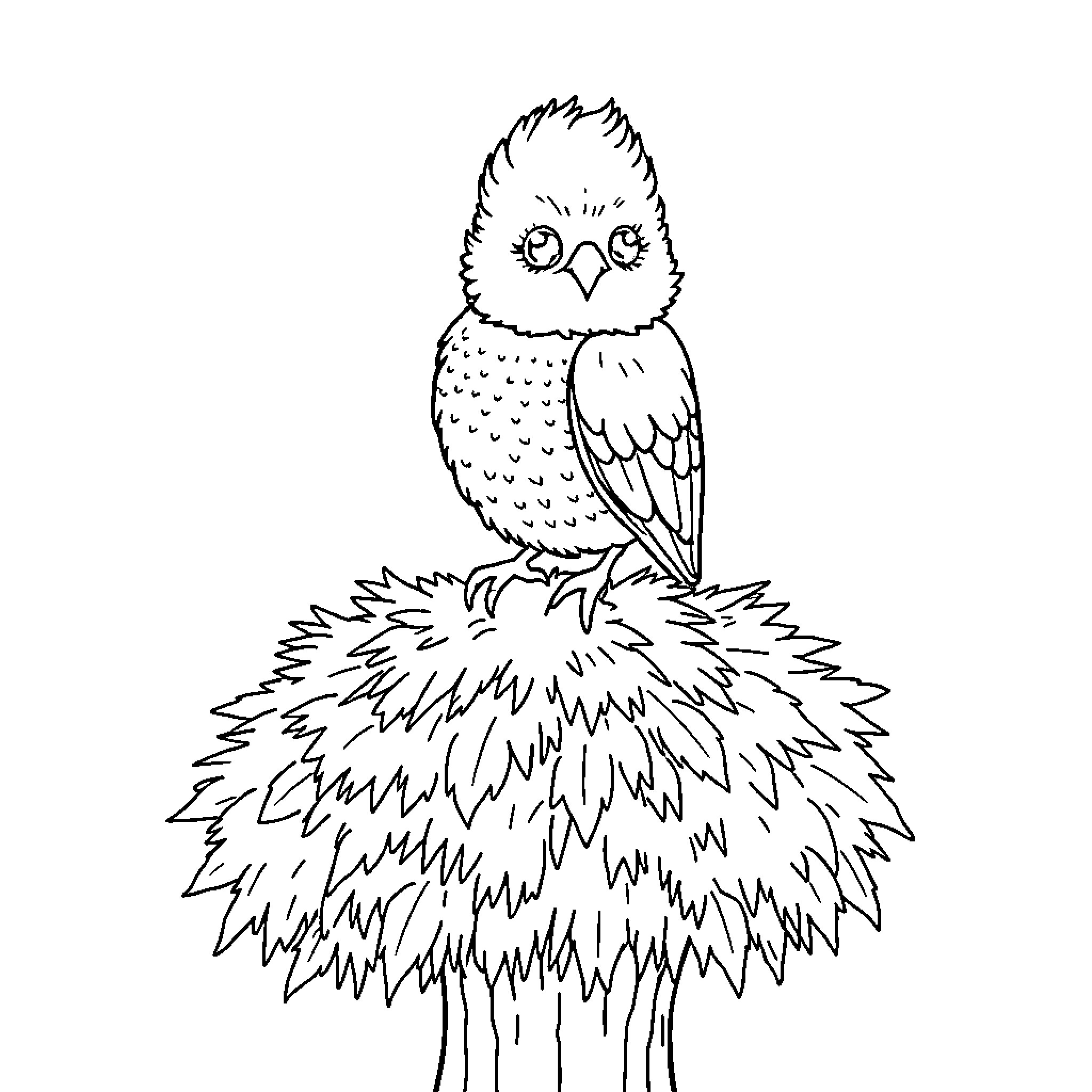 Owl perched on fluffy nest Coloring Page (free black-and-white line drawing printable PDF for all, from beginners to advanced learners, including children, teens, adults, and seniors)