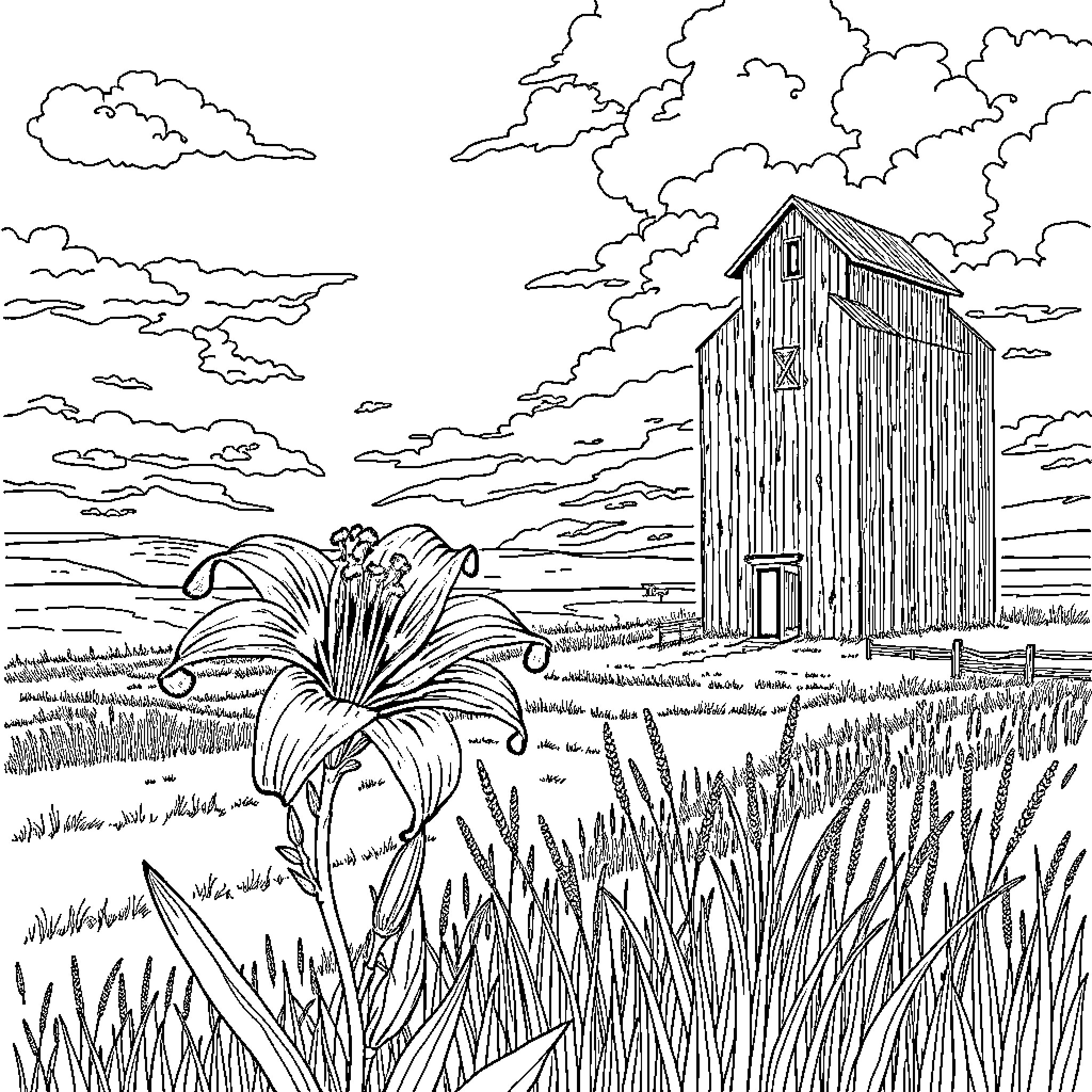Lily blooms in rural landscape with old barn Coloring Page (free black-and-white line drawing printable PDF for all, from beginners to advanced learners, including children, teens, adults, and seniors)