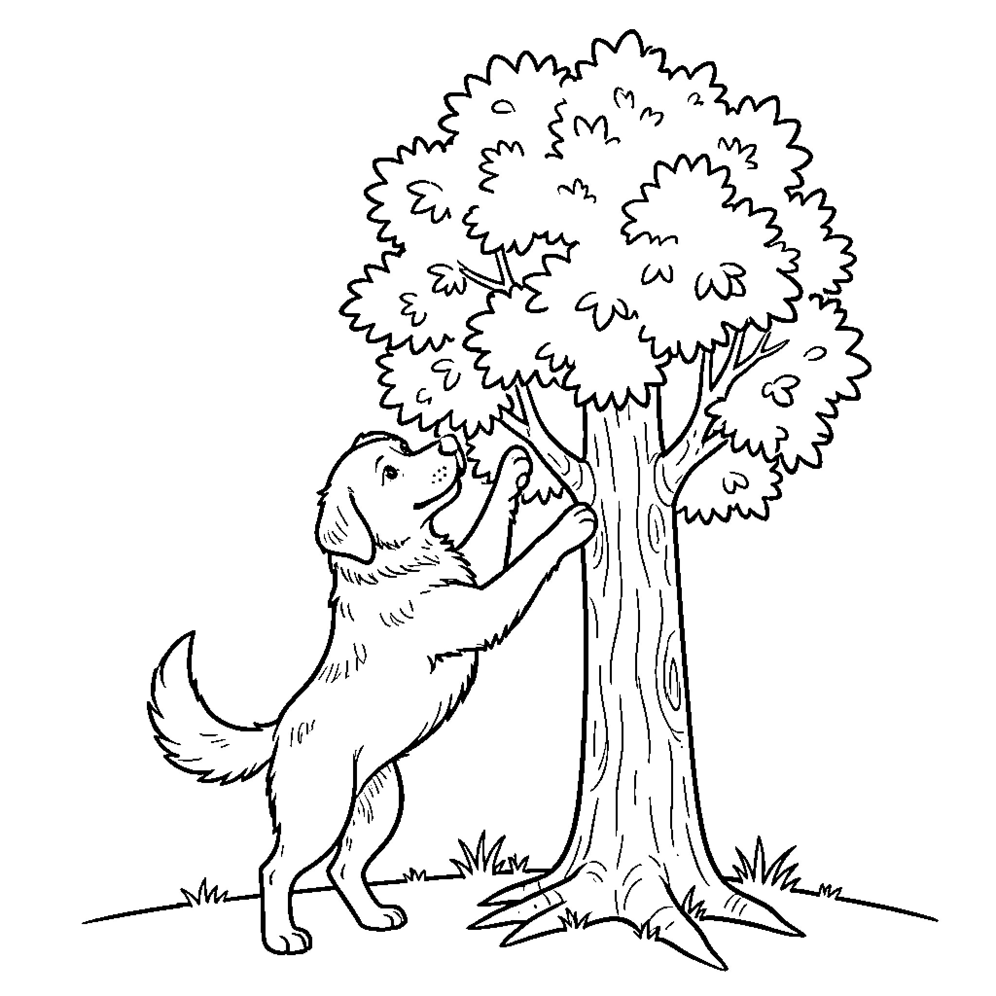 Dog playing joyfully around a tree Coloring Page (free black-and-white line drawing printable PDF for all, from beginners to advanced learners, including children, teens, adults, and seniors)
