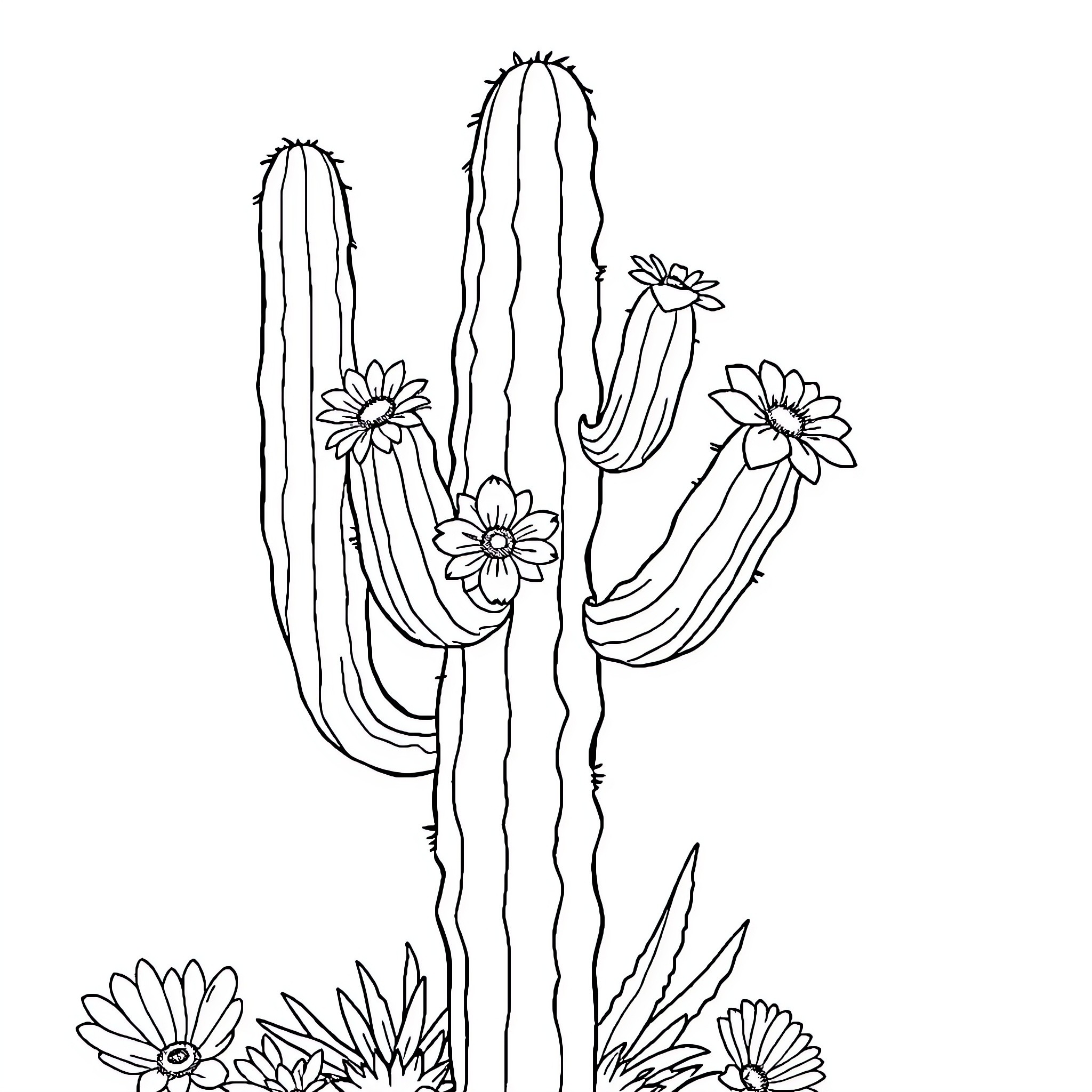 Cactus with blooming flowers Coloring Page (free black-and-white line drawing printable PDF for all, from beginners to advanced learners, including children, teens, adults, and seniors)
