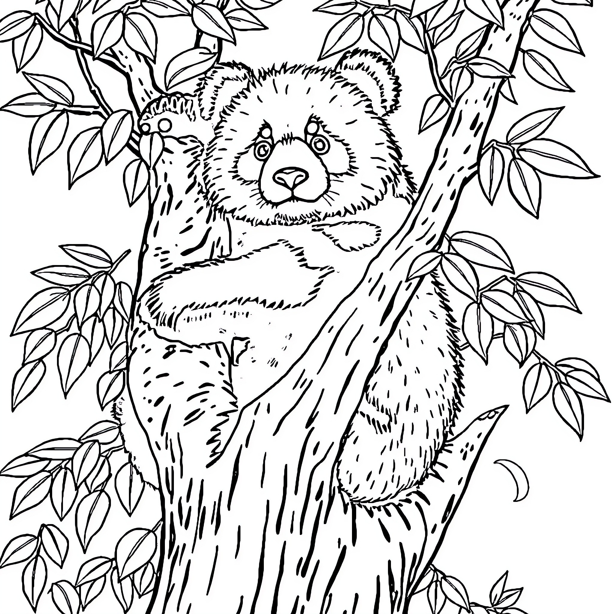 Panda exploring nature in the forest Coloring Page (free black-and-white line drawing printable PDF for all, from beginners to advanced learners, including children, teens, adults, and seniors)