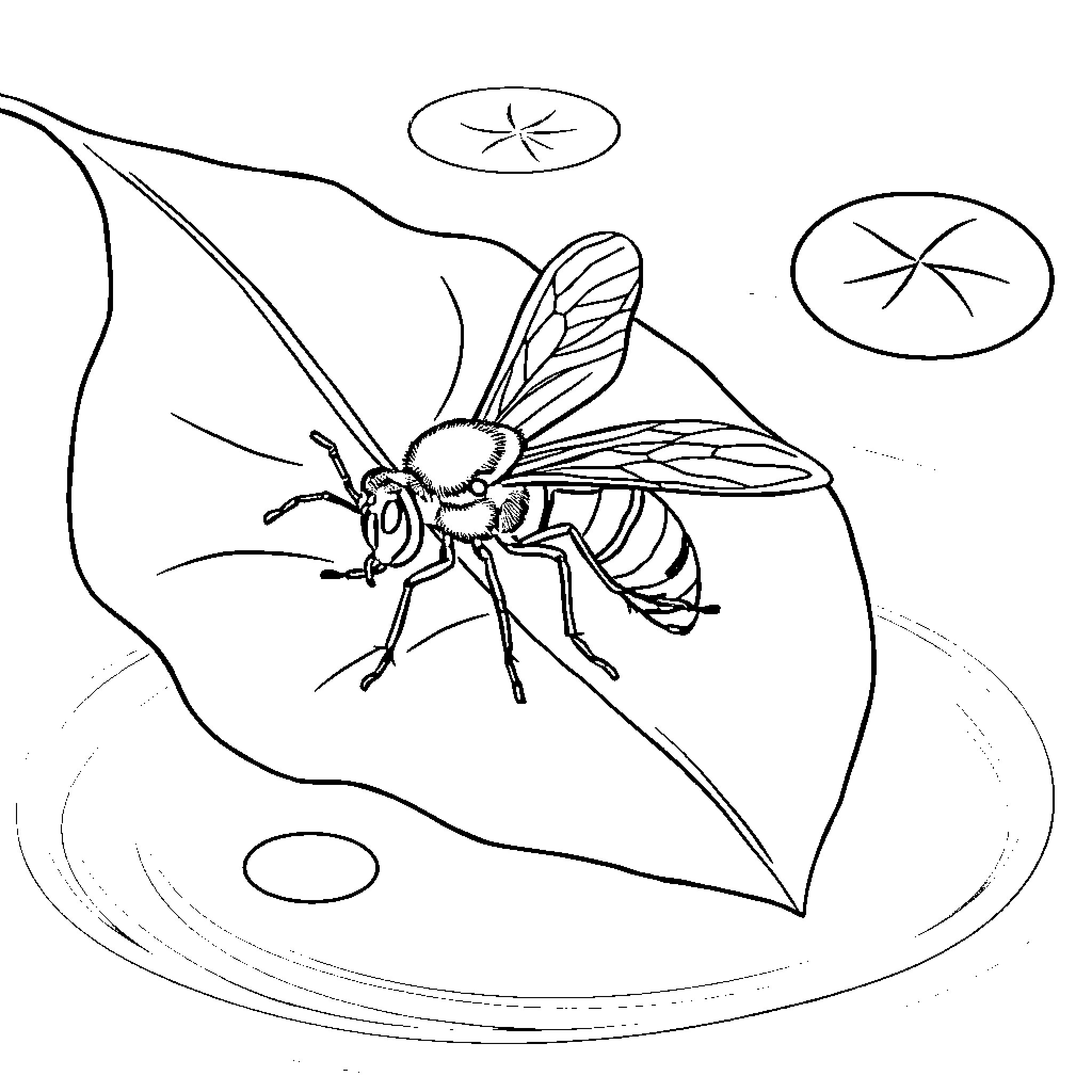 Ant exploring leaf with intricate details Coloring Page (free black-and-white line drawing printable PDF for all, from beginners to advanced learners, including children, teens, adults, and seniors)
