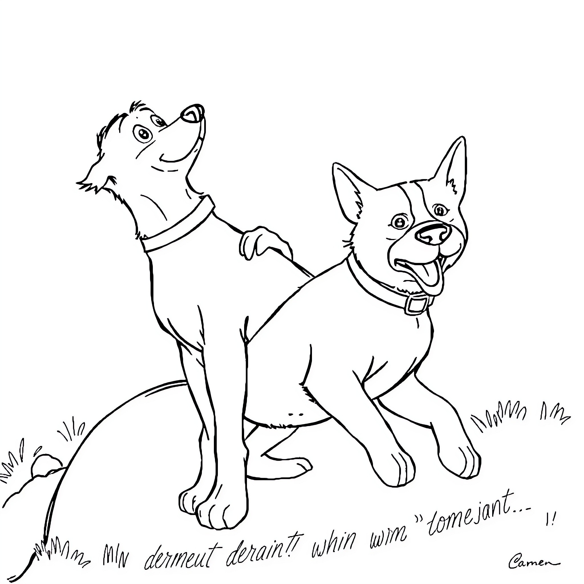 Barman playful dogs with cheerful expressions Coloring Page (free black-and-white line drawing printable PDF for all, from beginners to advanced learners, including children, teens, adults, and seniors)