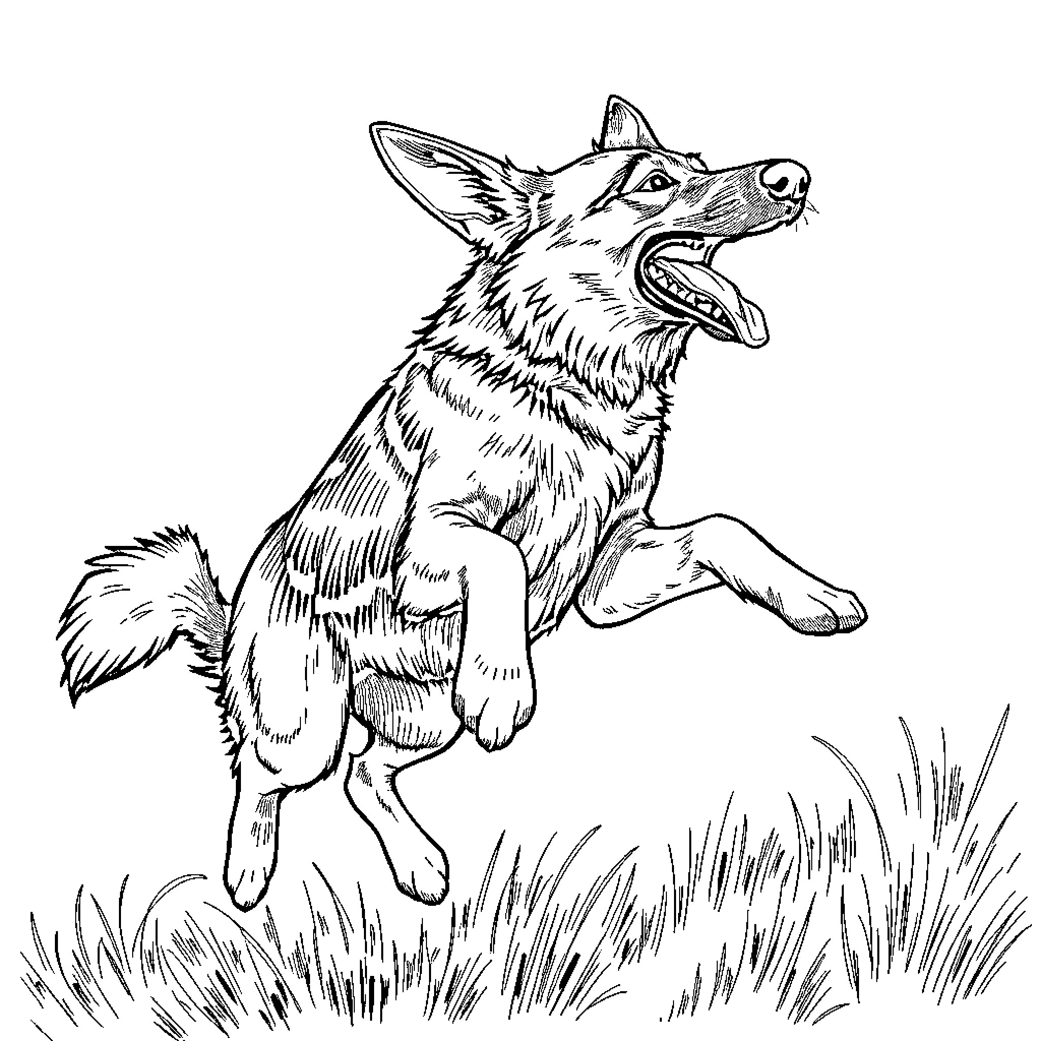 German Shepherd playfully jumping in field Coloring Page (free black-and-white line drawing printable PDF for all, from beginners to advanced learners, including children, teens, adults, and seniors)
