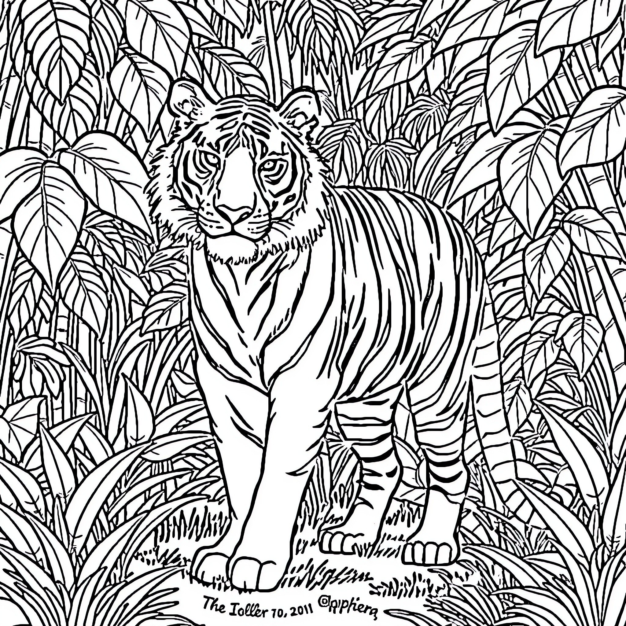 Tiger stalking through the dense jungle foliage Coloring Page (free black-and-white line drawing printable PDF for all, from beginners to advanced learners, including children, teens, adults, and seniors)