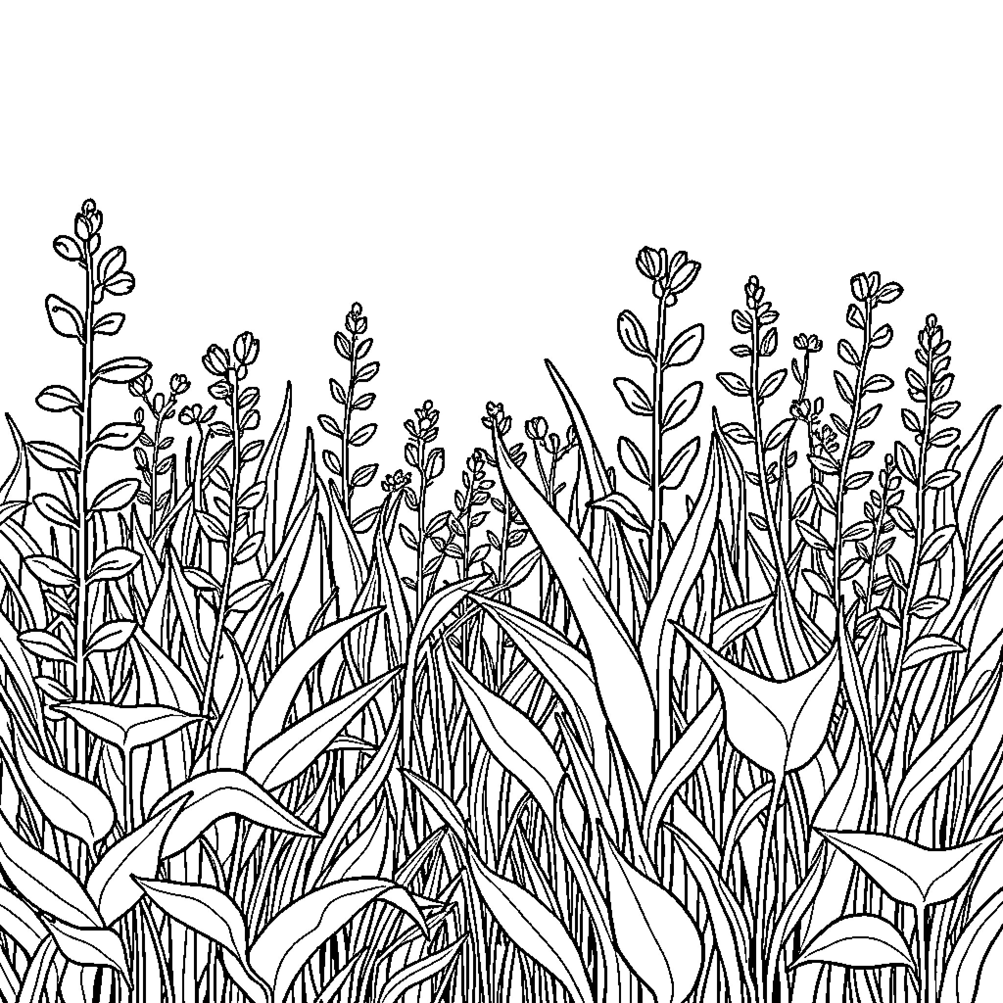 Plant Life in a Wild Garden Coloring Page (free black-and-white line drawing printable PDF for all, from beginners to advanced learners, including children, teens, adults, and seniors)