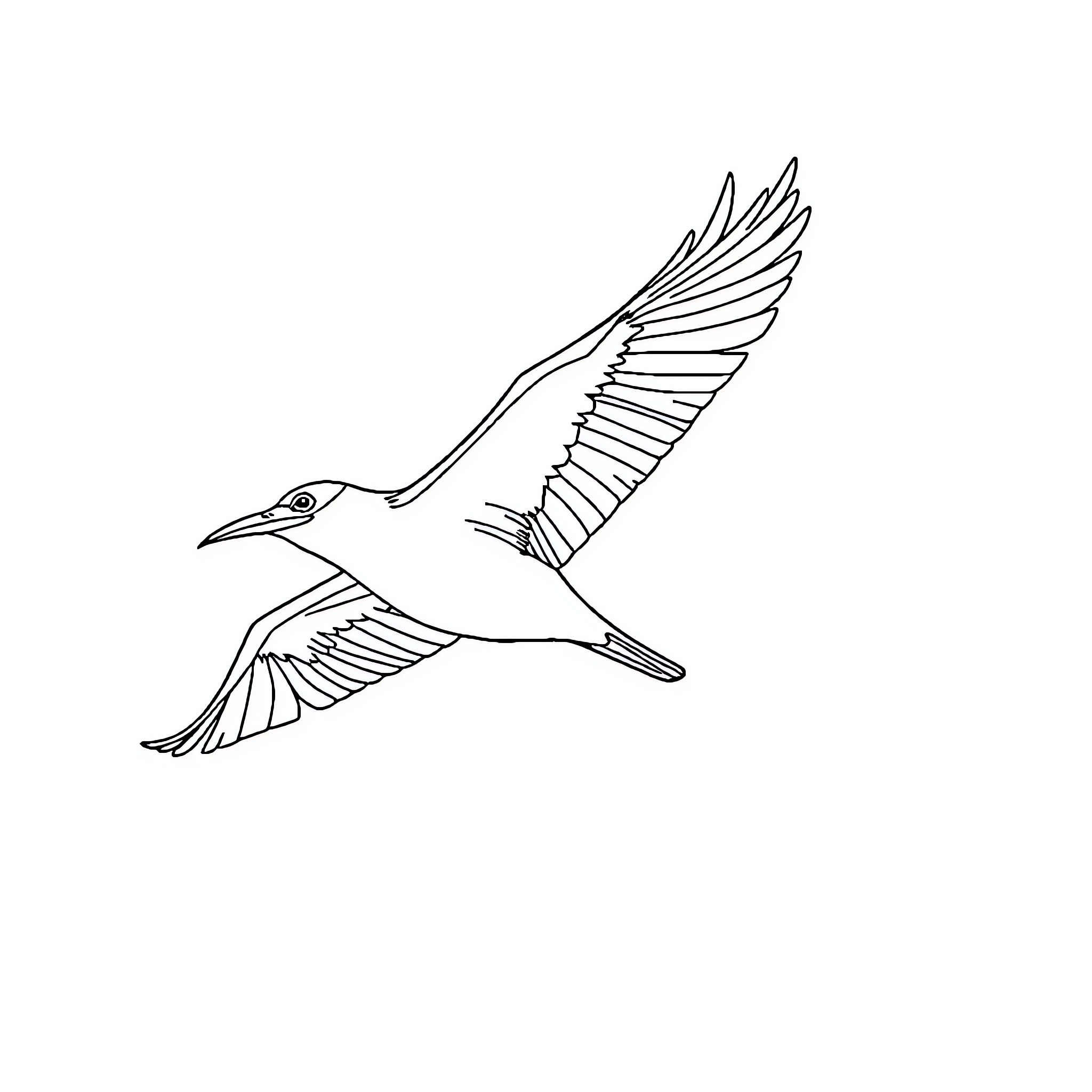 Bh: Bird soaring gracefully through the sky Coloring Page (free black-and-white line drawing printable PDF for all, from beginners to advanced learners, including children, teens, adults, and seniors)