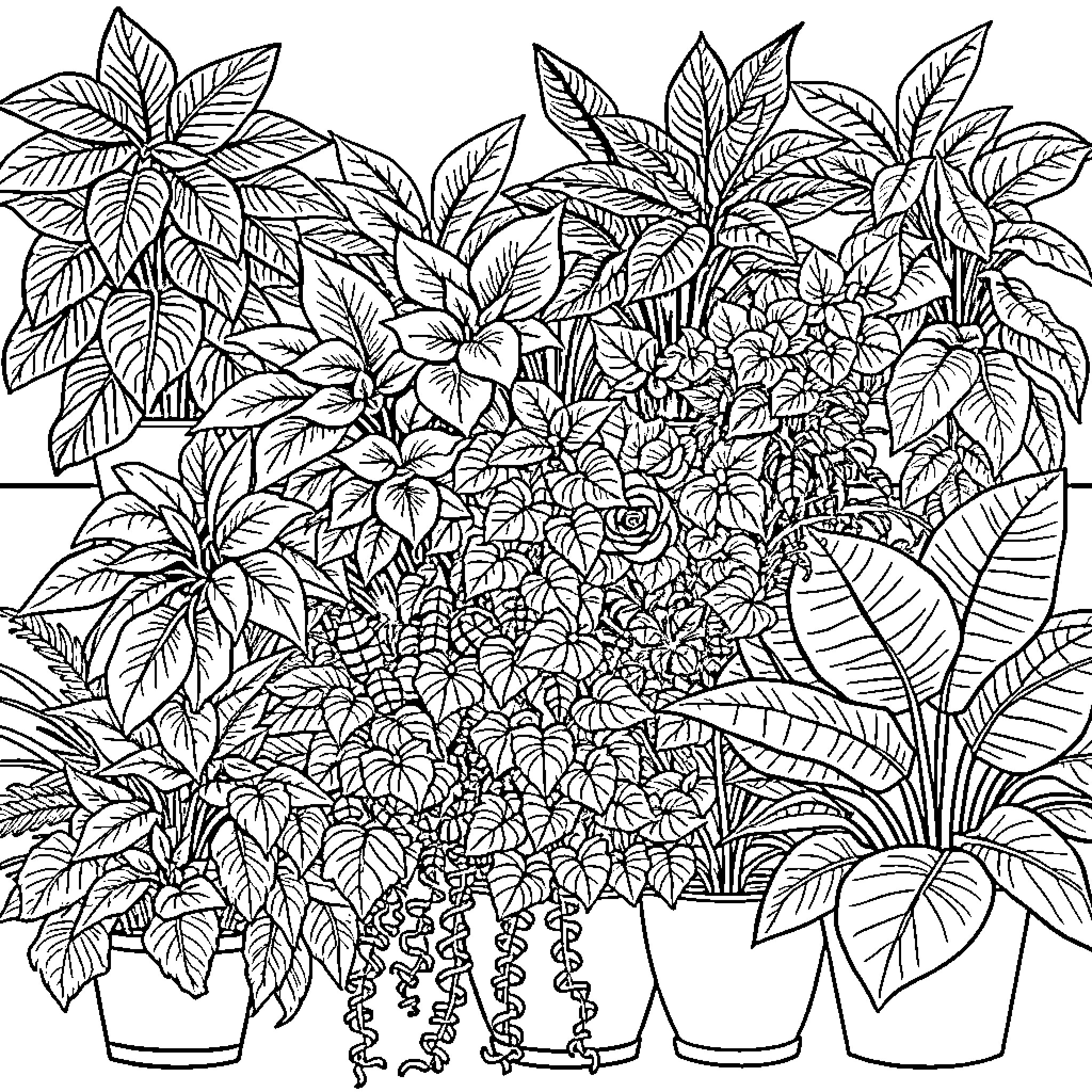 Plant-filled indoor oasis with various foliage Coloring Page (free black-and-white line drawing printable PDF for all, from beginners to advanced learners, including children, teens, adults, and seniors)