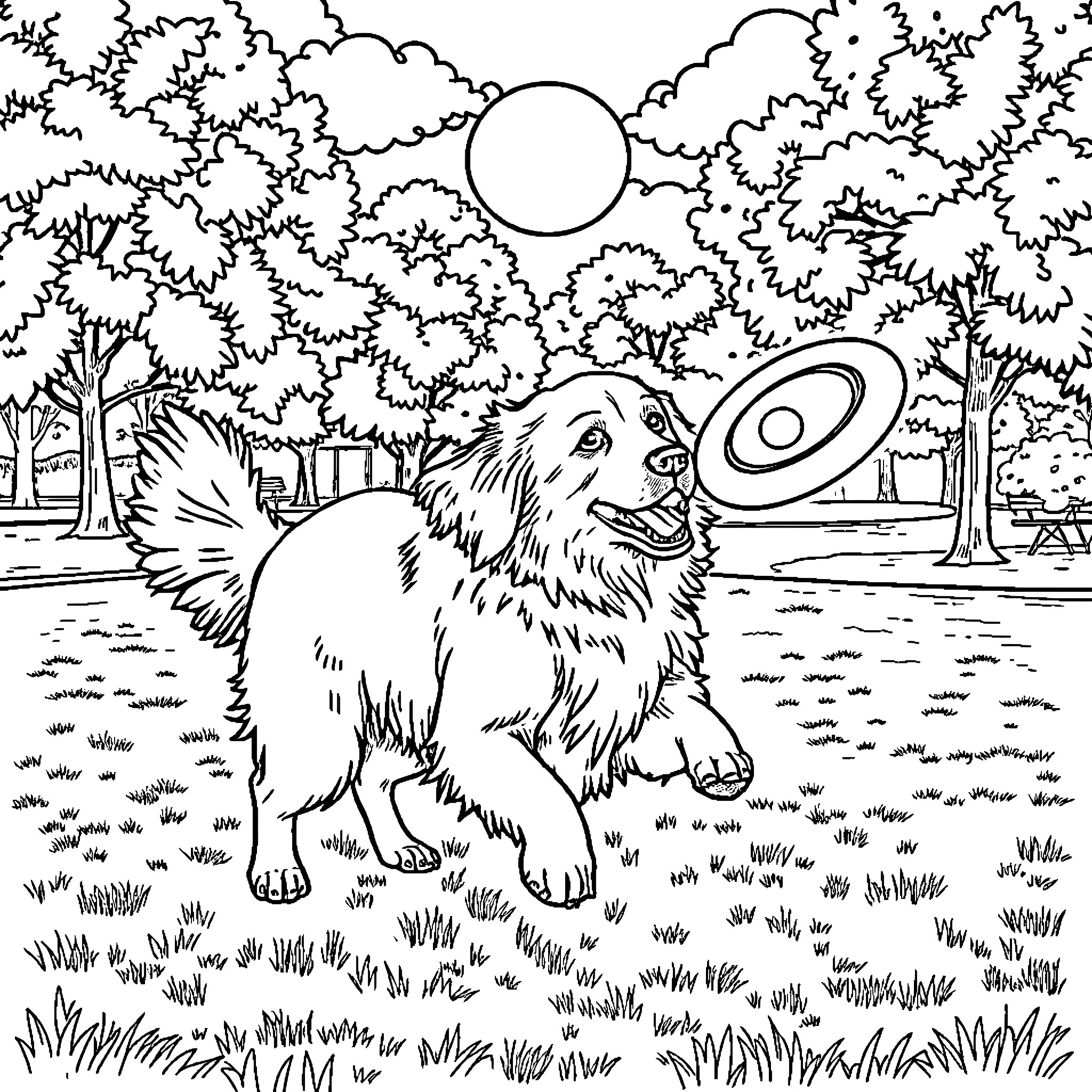 Golden Retriever playing with frisbee in park Coloring Page (free black-and-white line drawing printable PDF for all, from beginners to advanced learners, including children, teens, adults, and seniors)